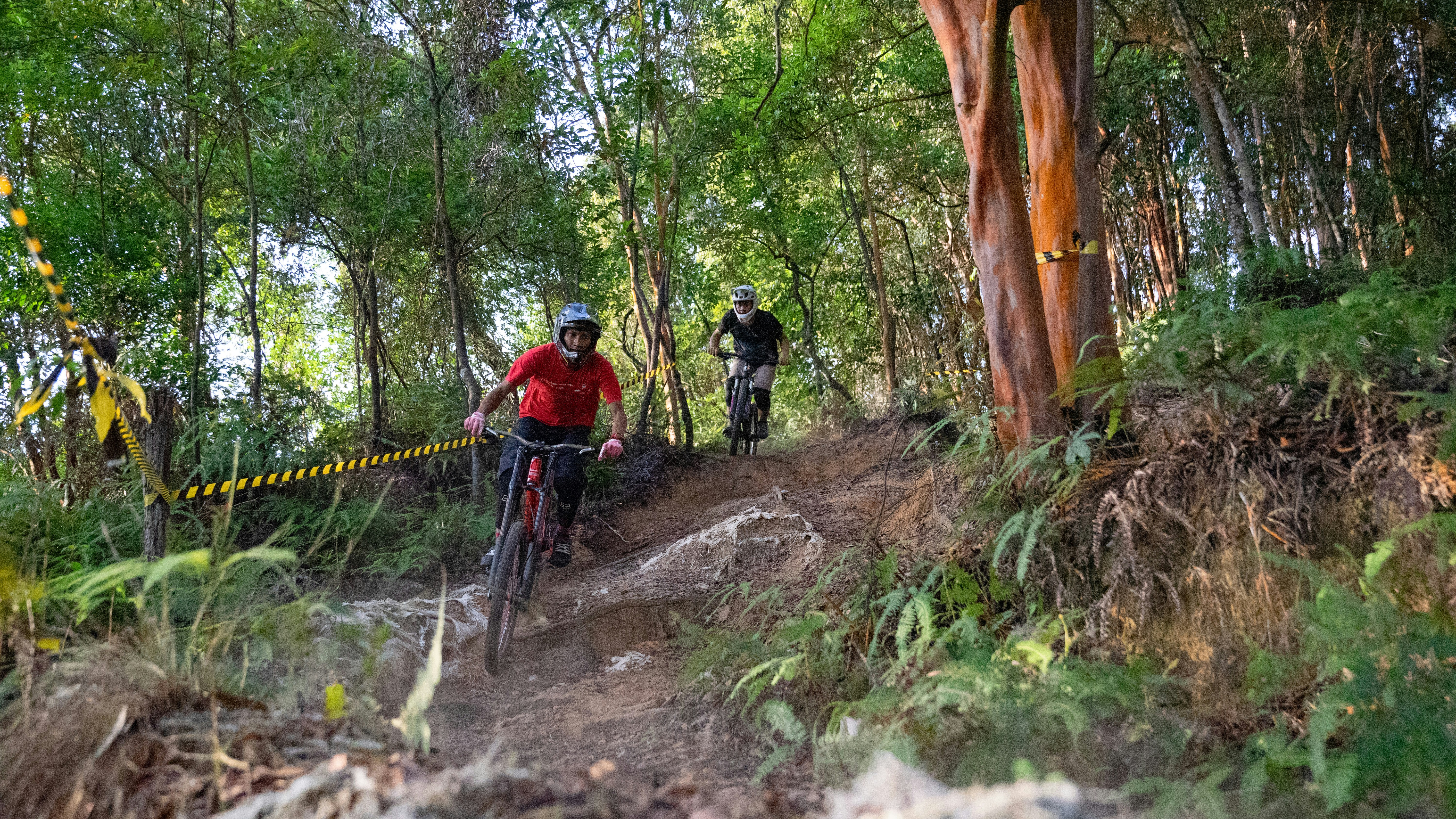 people riding bicycle on forest during daytime