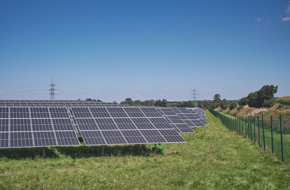 Sonnenkollektoren auf grünem Rasen unter blauem Himmel während des Tages