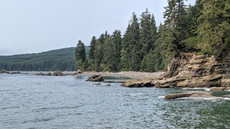 A coastal landscape features a rocky shoreline with tall evergreen trees in the background. The sea appears calm with some visible rocks protruding from the water. The sky is overcast, contributing to a serene and natural setting.