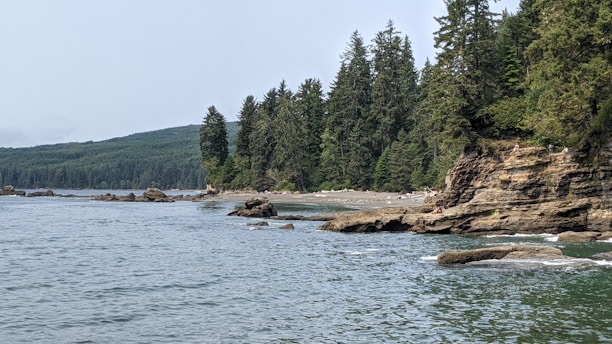A coastal landscape features a rocky shoreline with tall evergreen trees in the background. The sea appears calm with some visible rocks protruding from the water. The sky is overcast, contributing to a serene and natural setting.