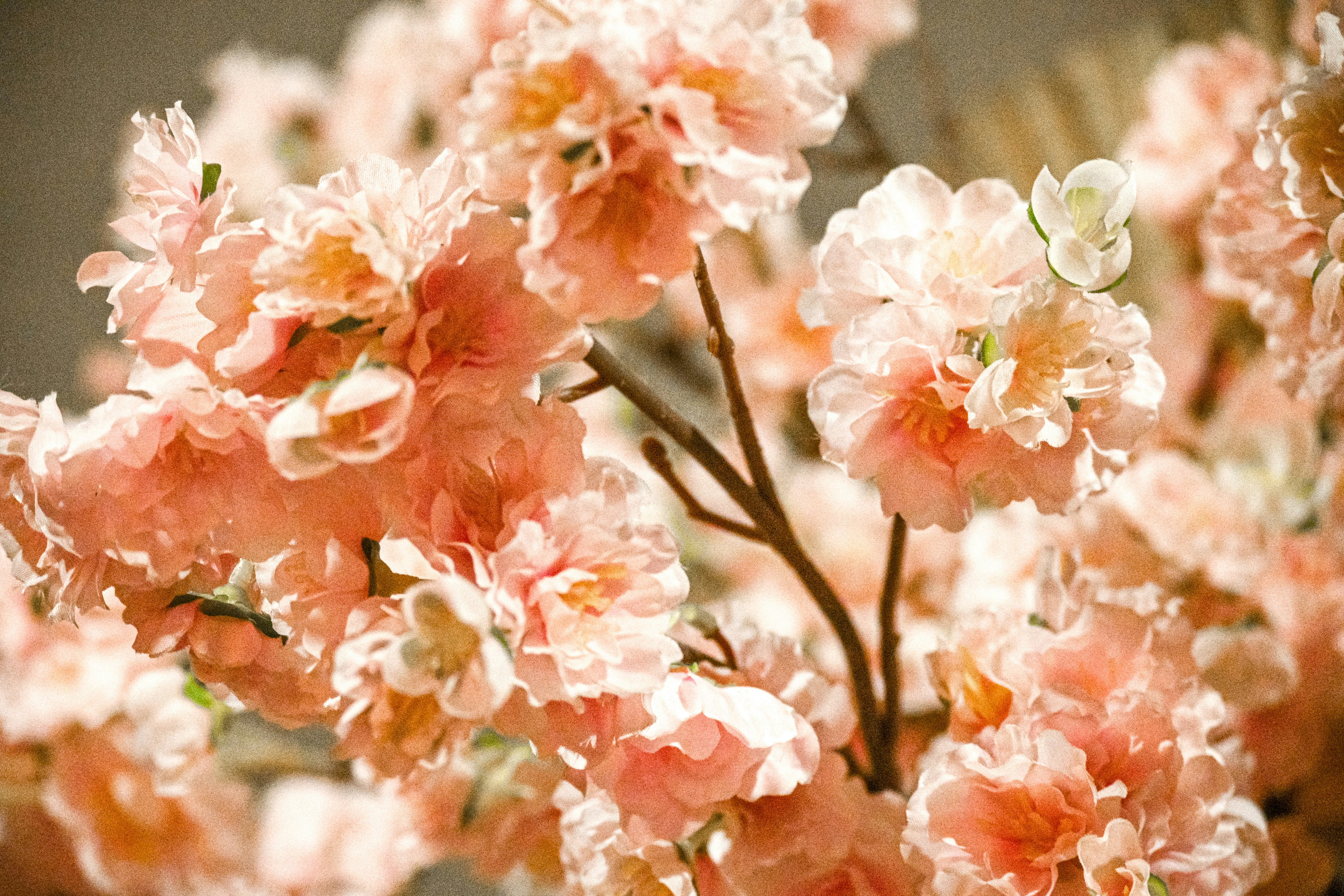 Photo by eaganhsu