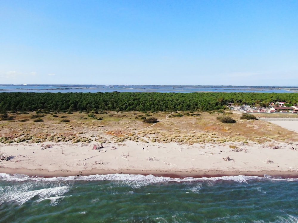 Campo de hierba verde cerca del cuerpo de agua durante el día