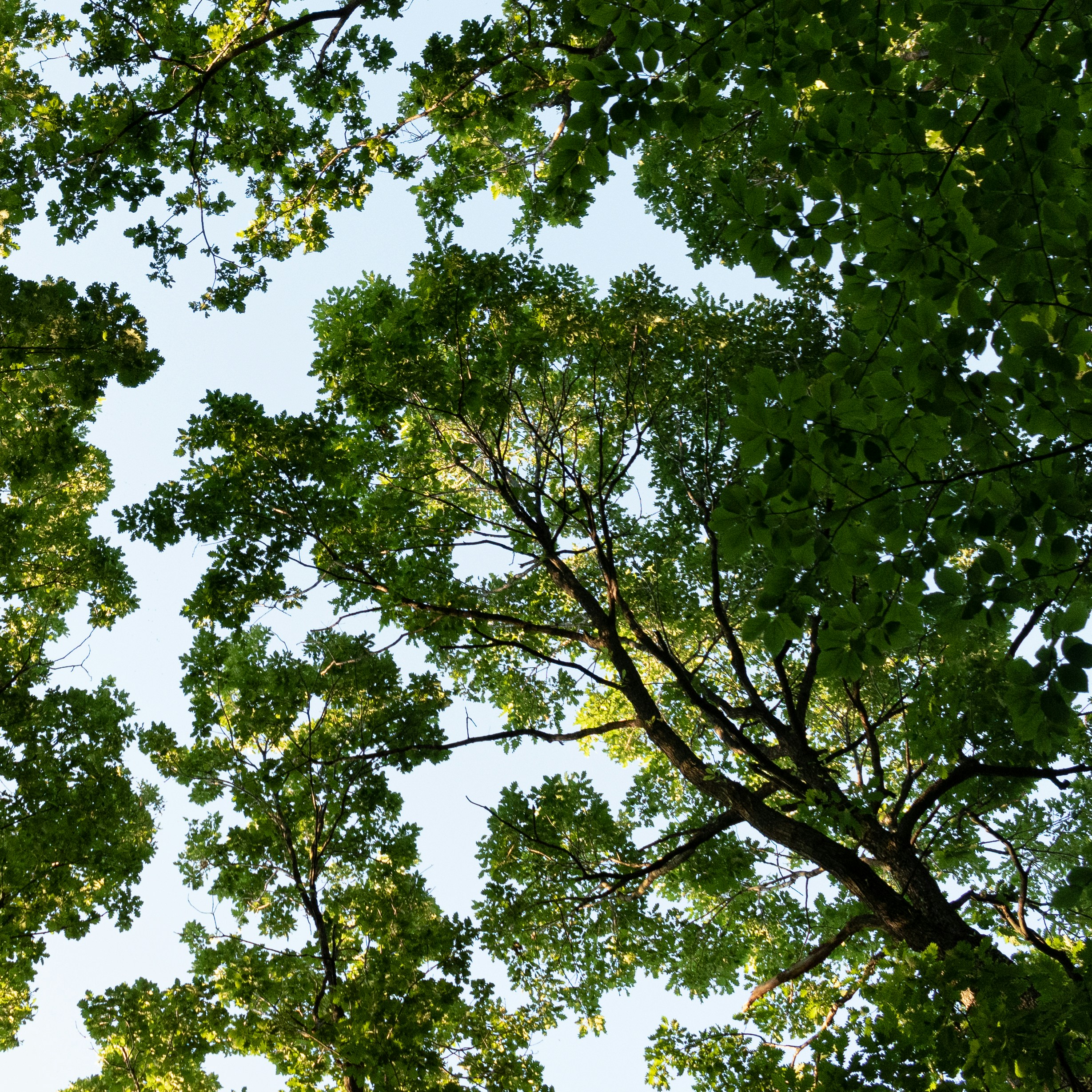 Photo by vjeblackbirdlion