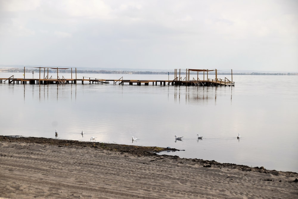 dock on body of water during daytime