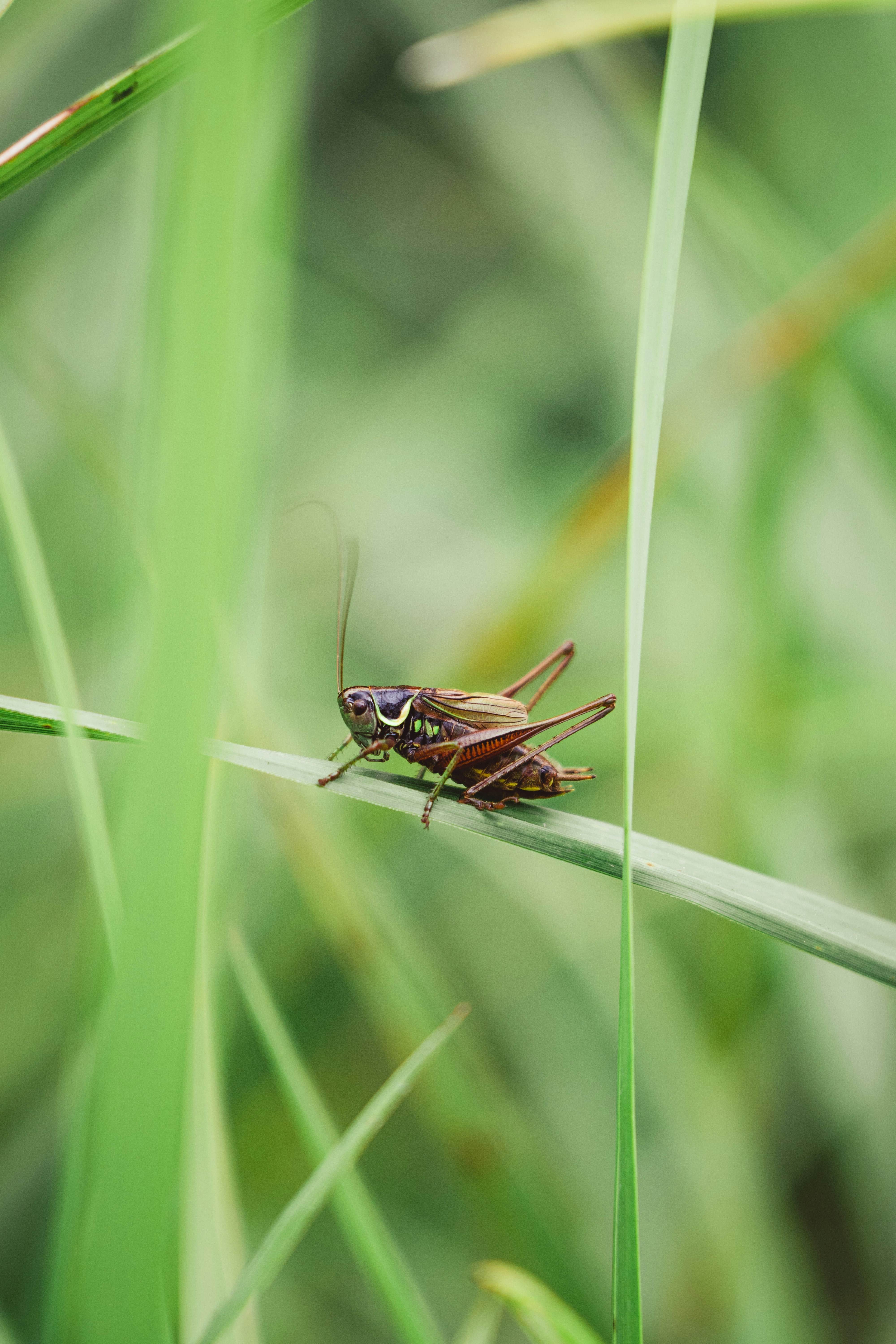 Photo by alken