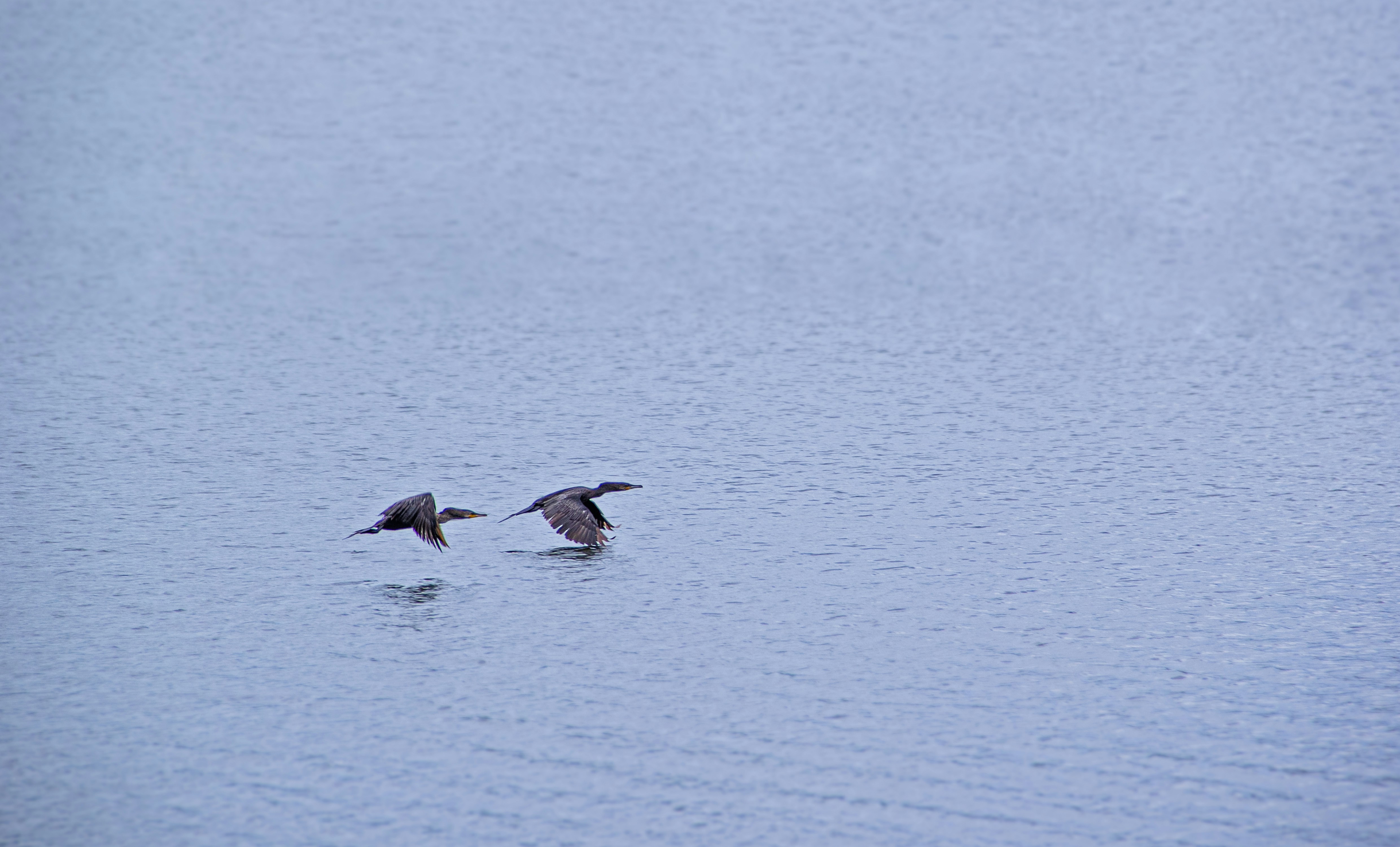 Photo by andresloquesea