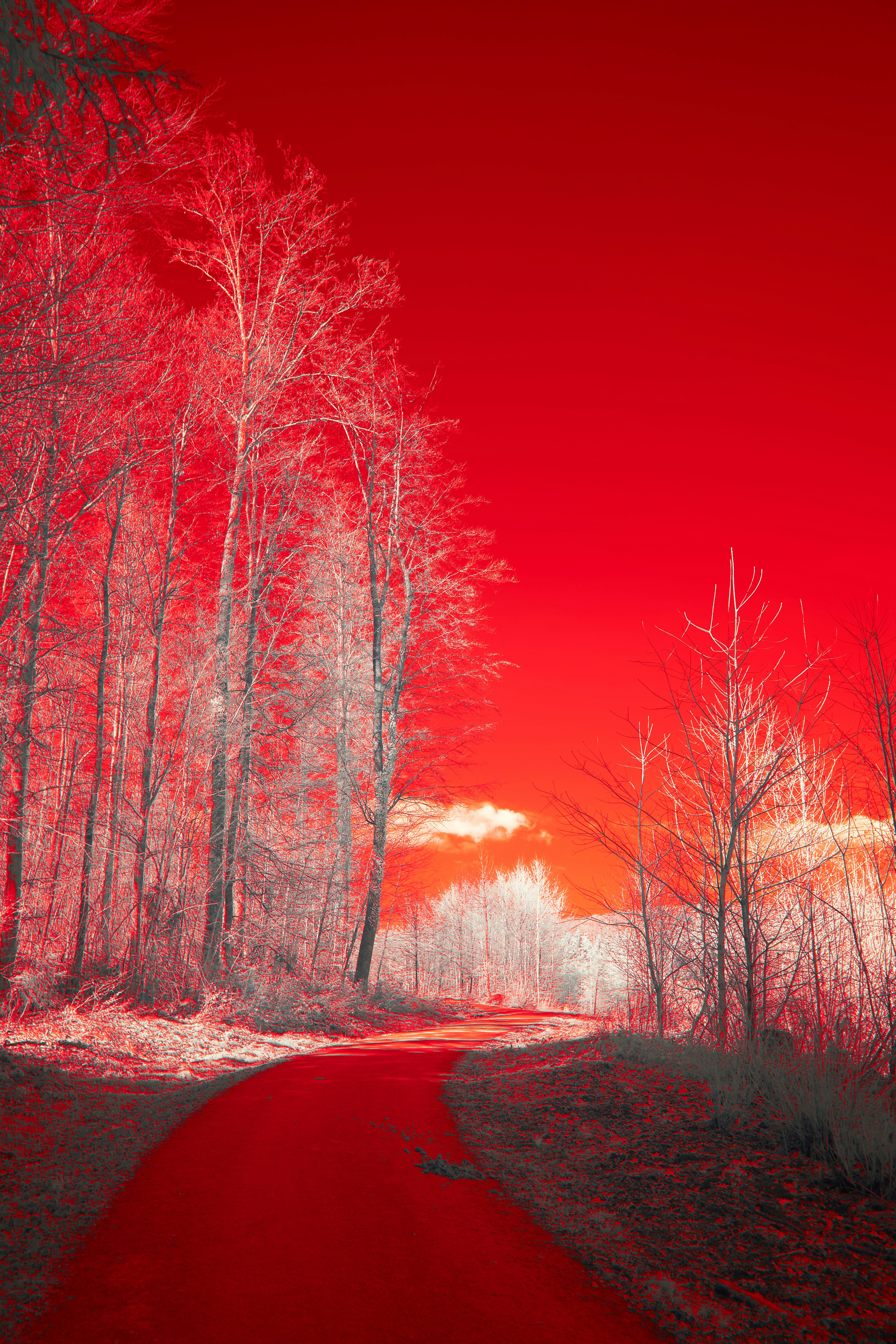 Photo by wolfgang_hasselmann