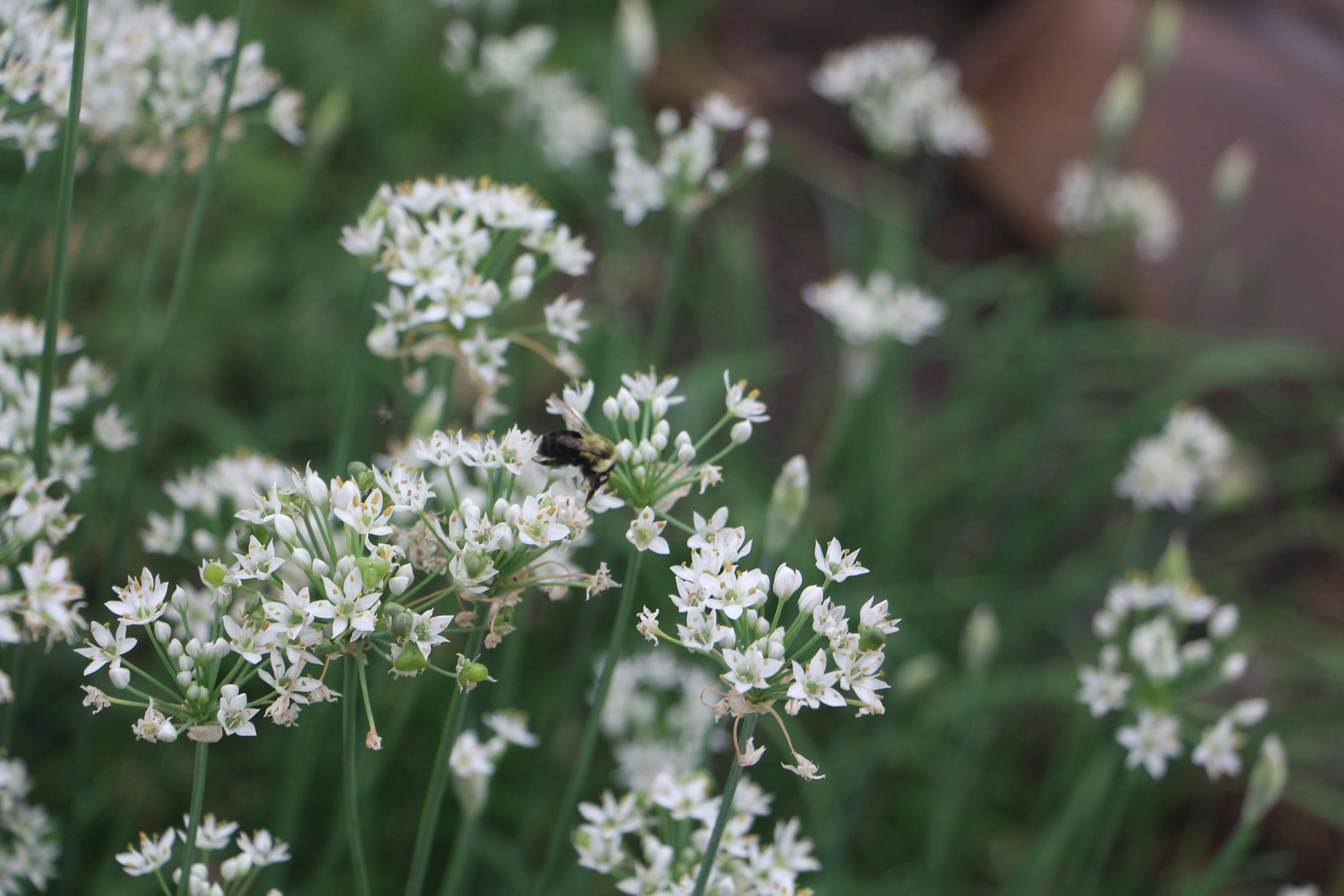 Photo by epigonephoto