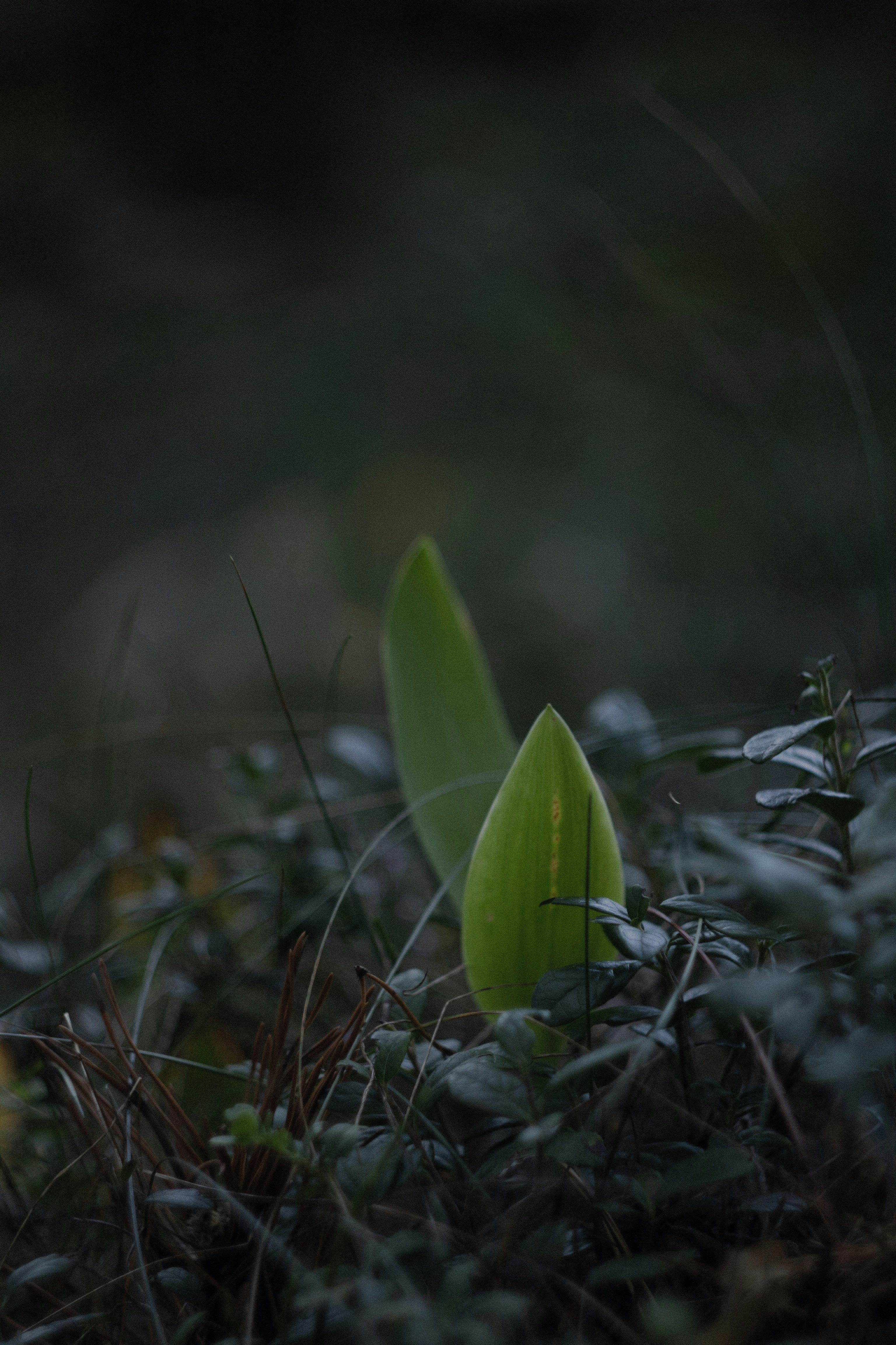 Photo by soulhall_photo