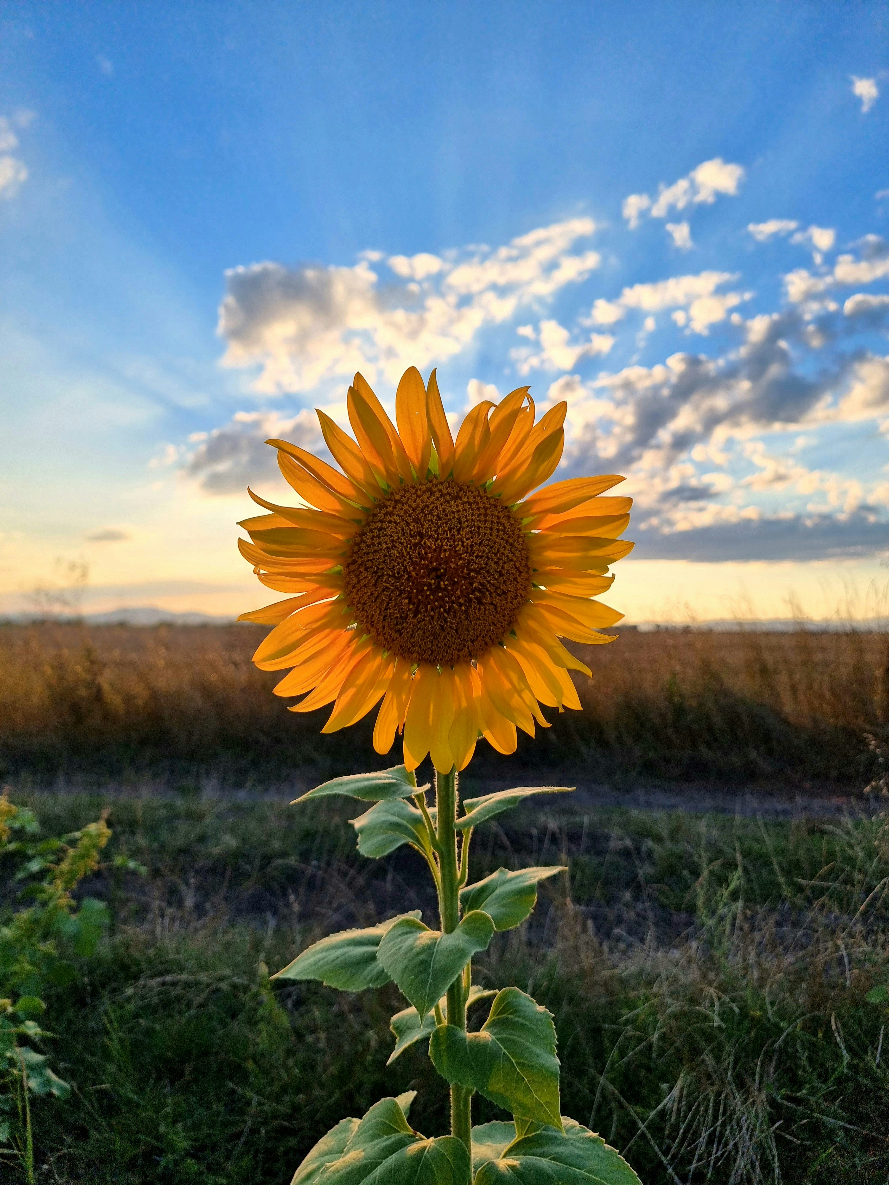 Photo by yoanignatov