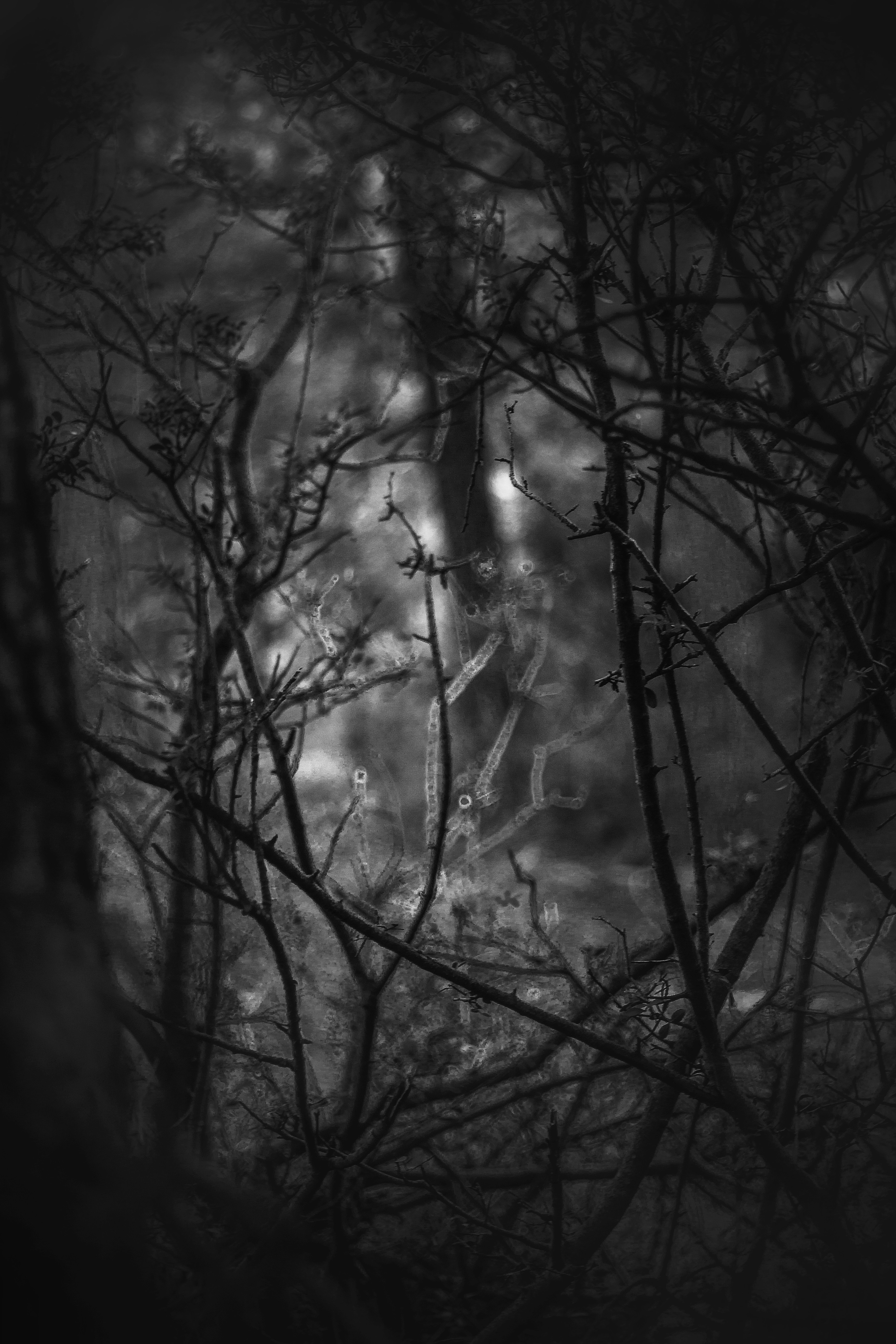 Photo by titouhwayne