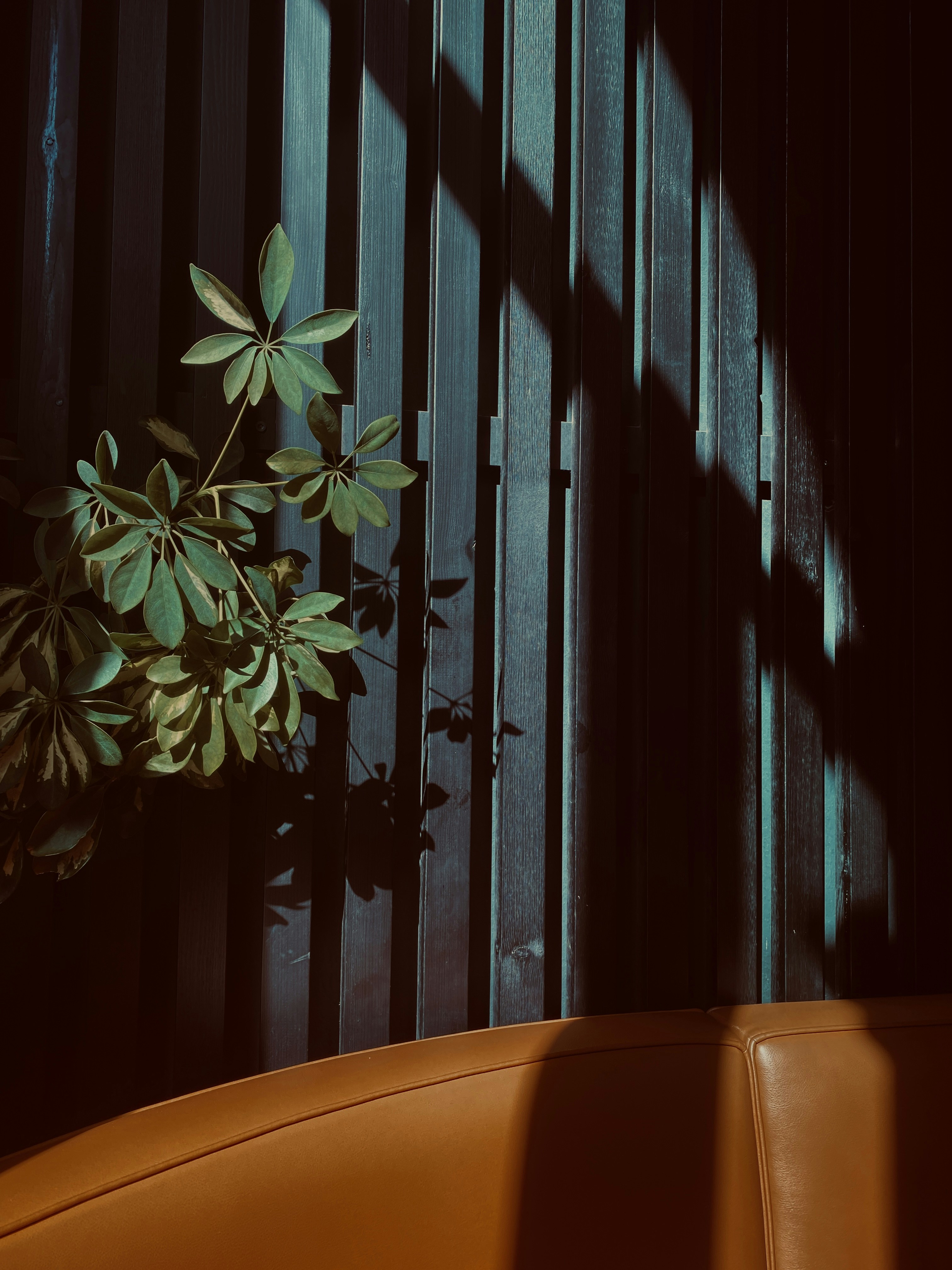 Photo by gokcenahmet