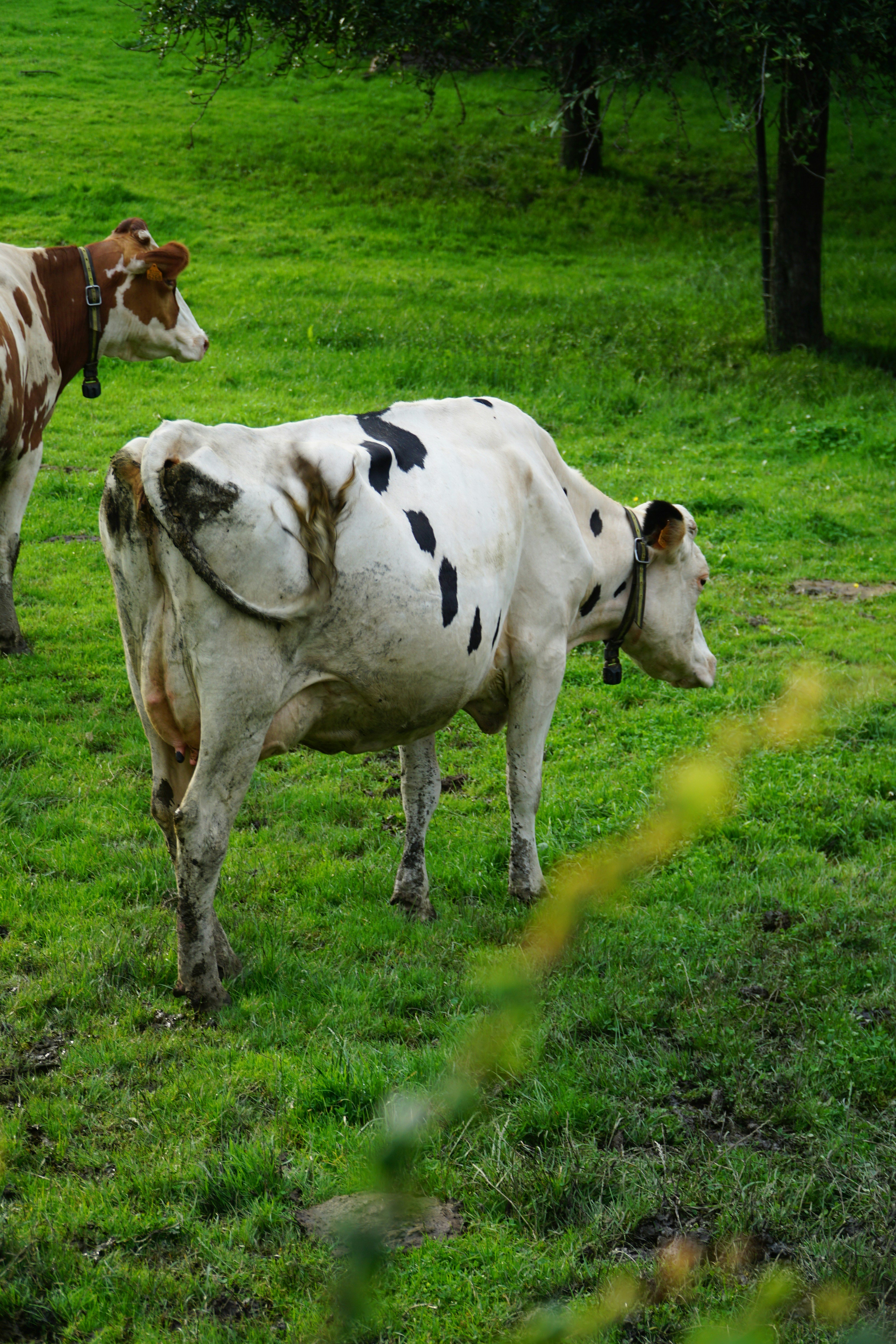 Photo by 1000words_hugo