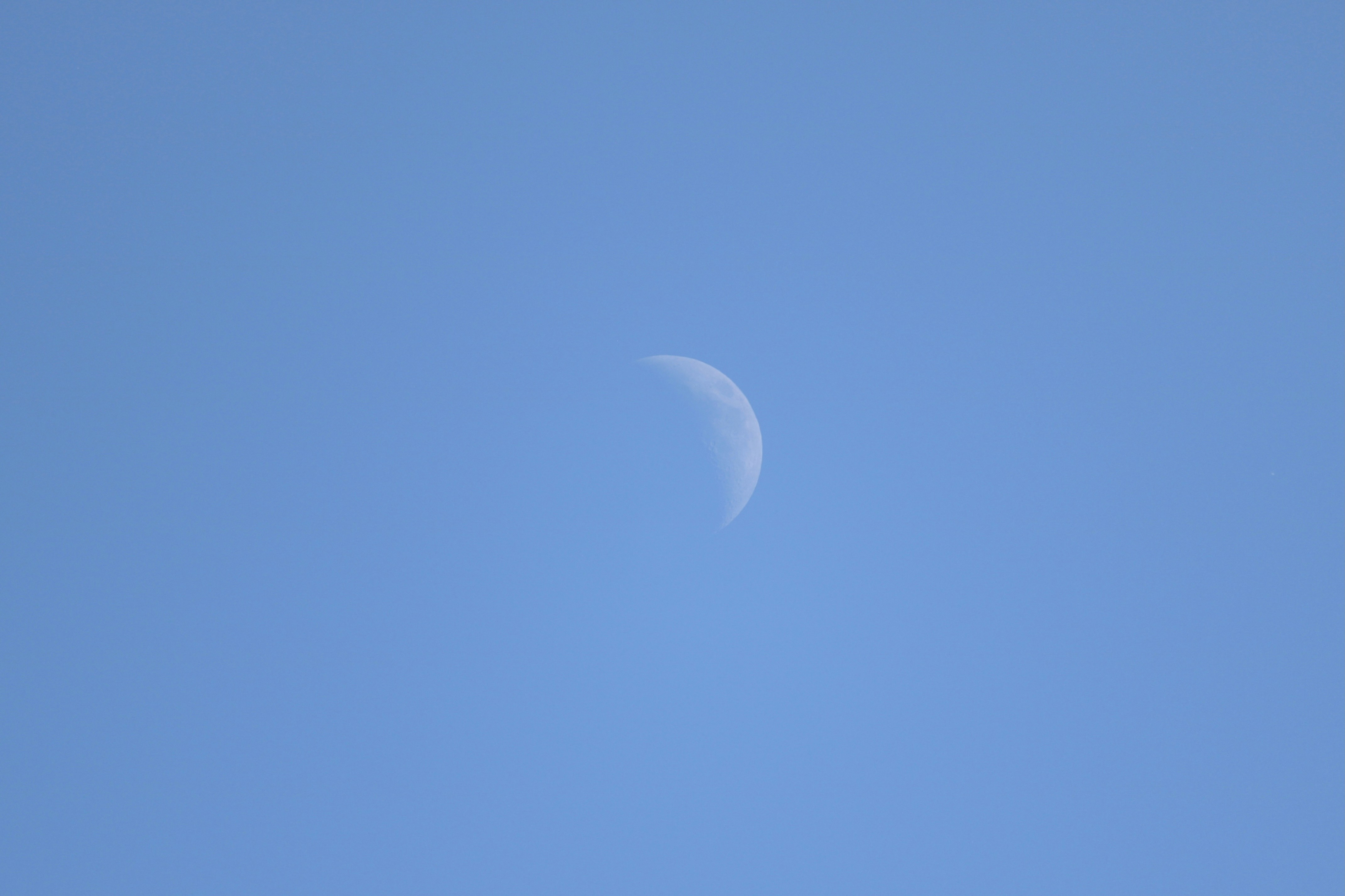 Photo by evelazarski