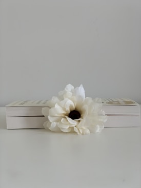 A white artificial flower is placed on top of a couple of closed books that are stacked horizontally. The background is plain and neutral, enhancing the simplicity and elegance of the scene.