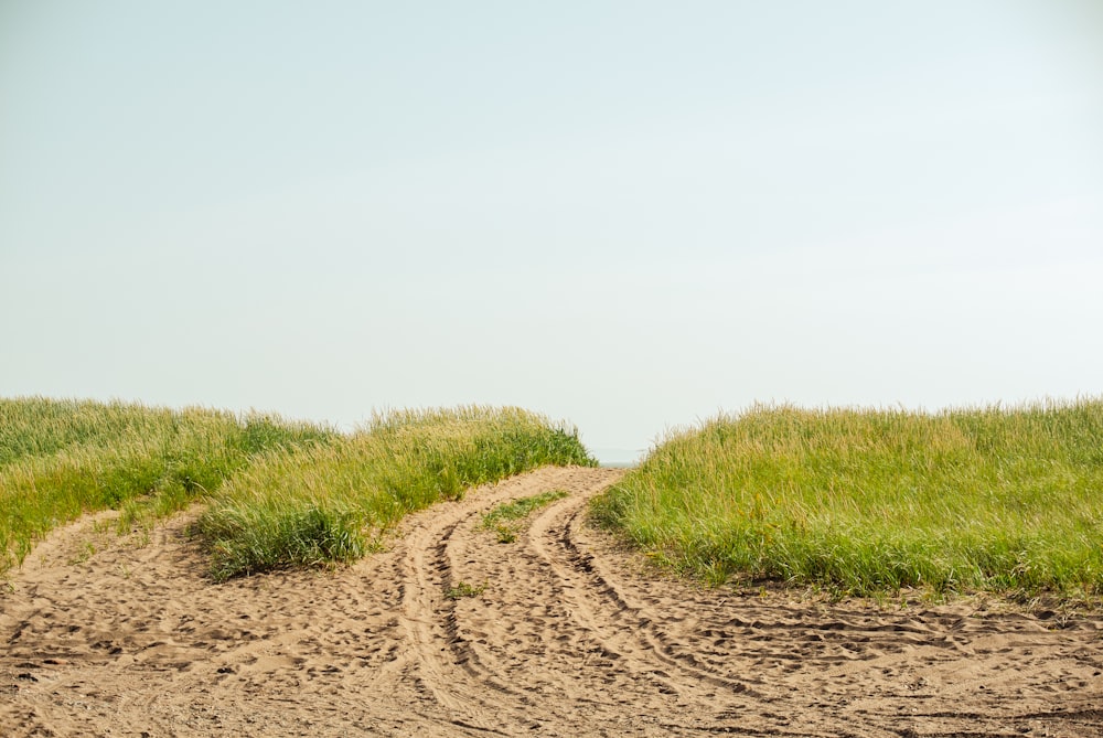 brown dirt road between green grass field under white sky during daytime