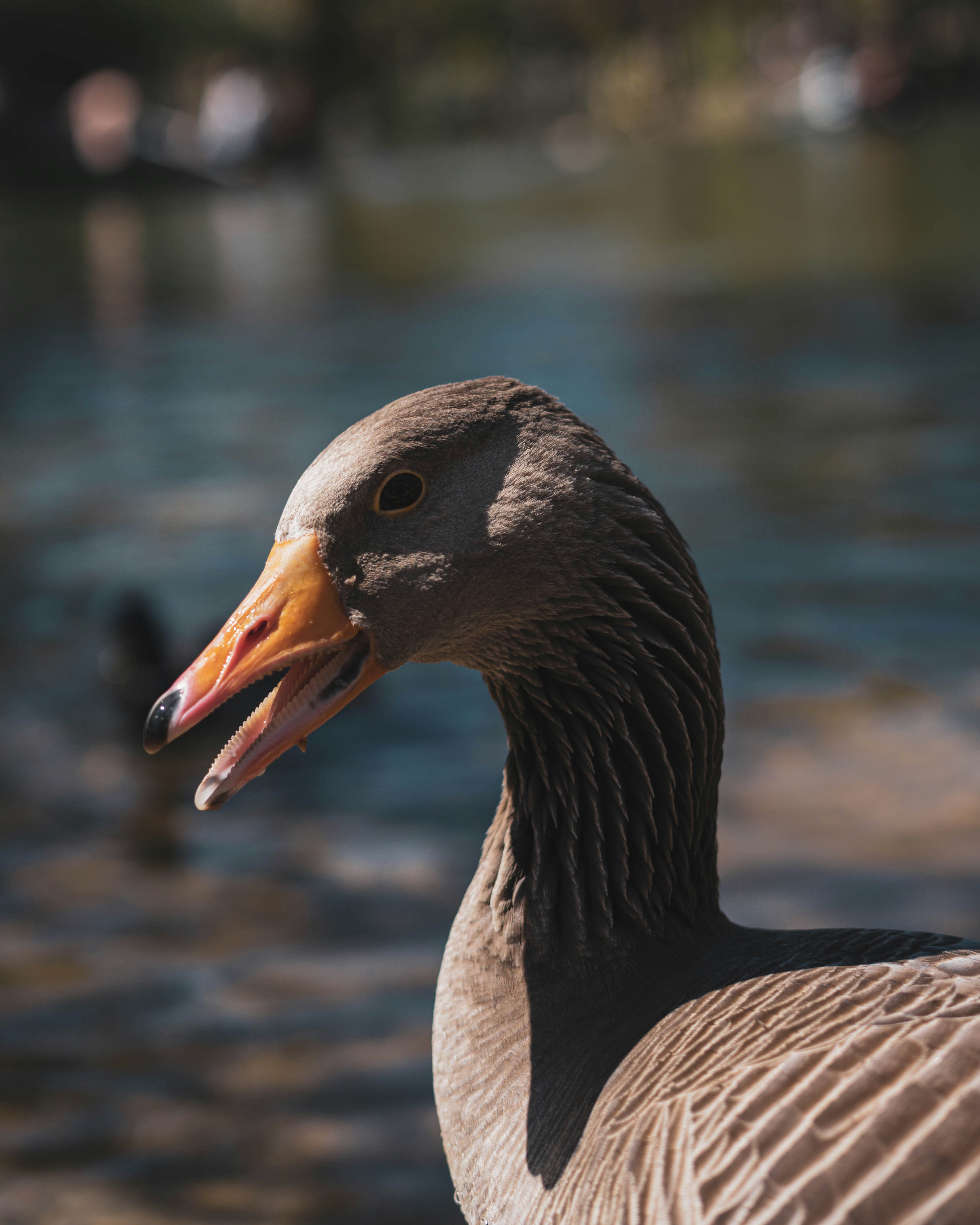 Photo by linaxdiablo