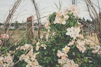 A sculptural floral arch in soft blush and cream tones framing an outdoor wedding altar.