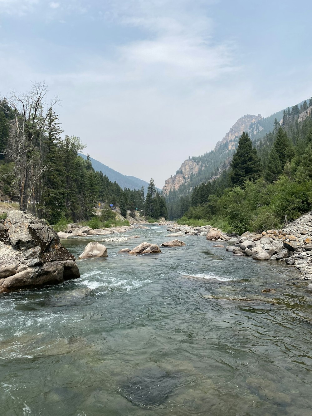 river between green trees under white clouds during daytime