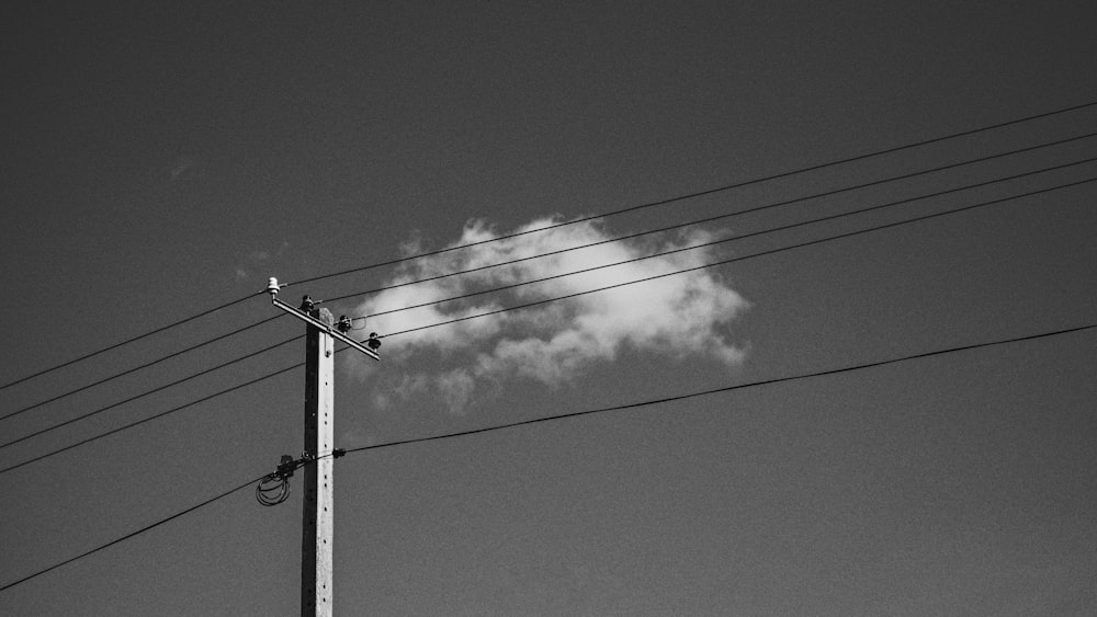 black and white photo of electric post