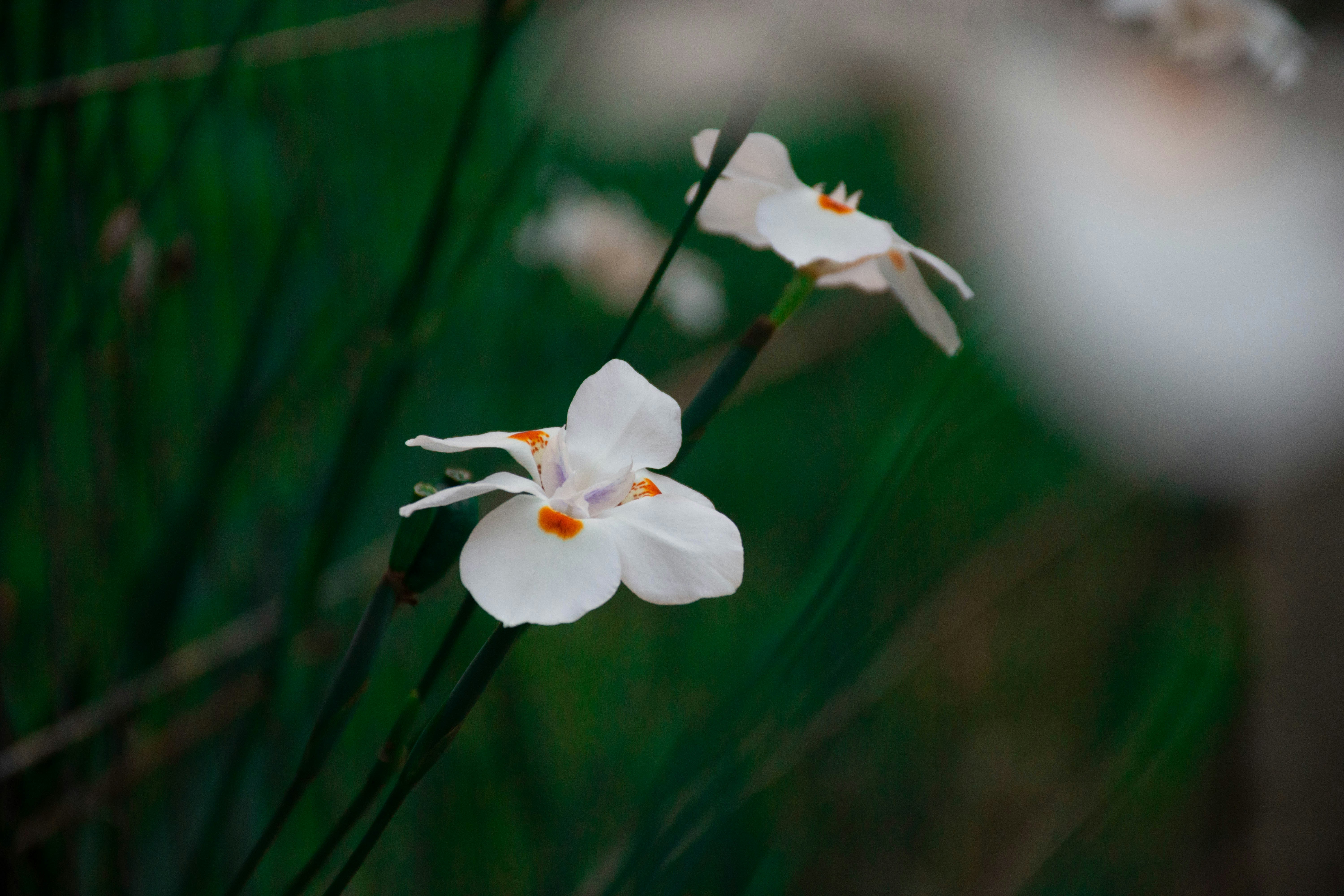 Photo by lucasgwendt