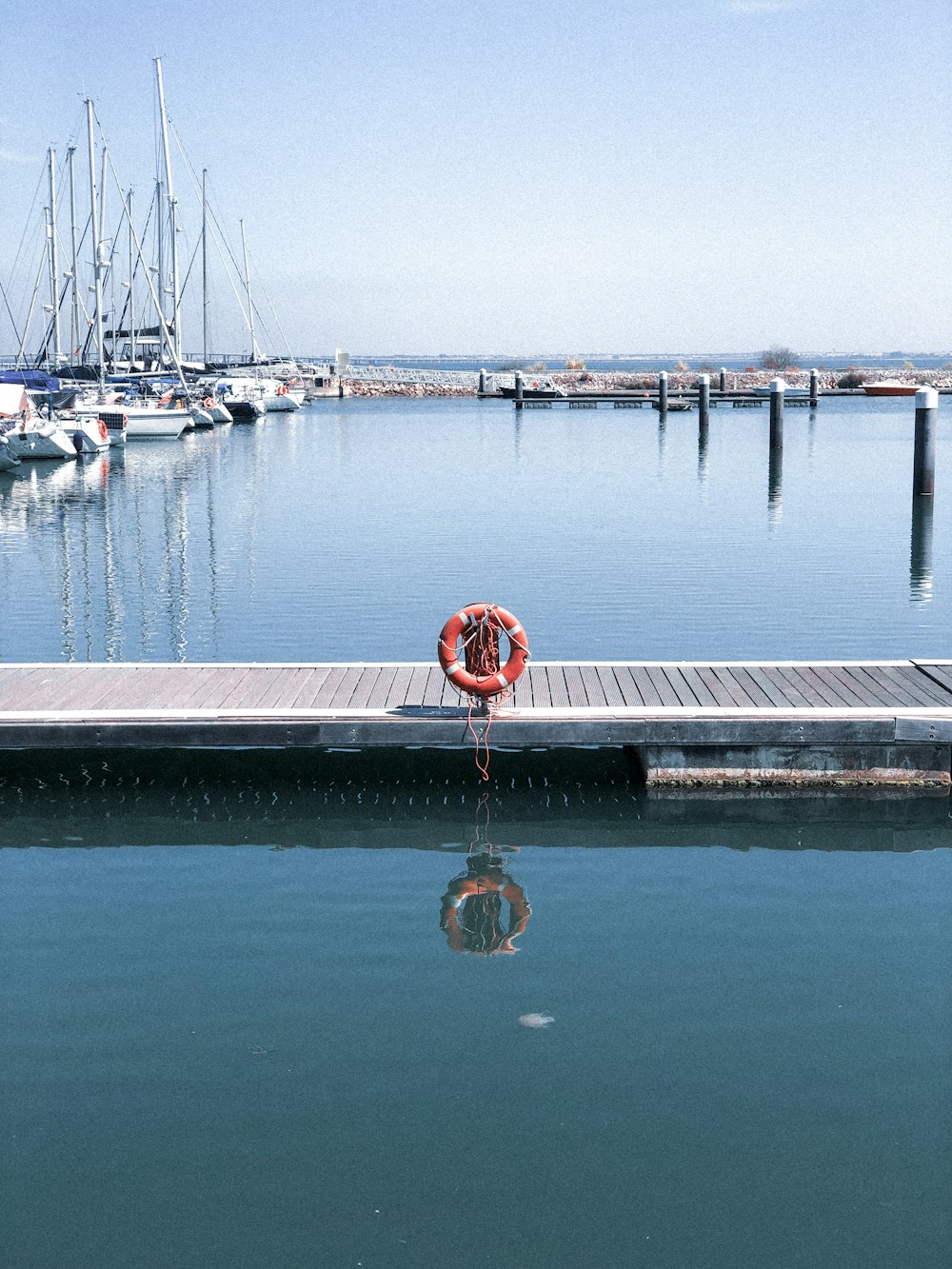 red and white balloons on dock during daytime