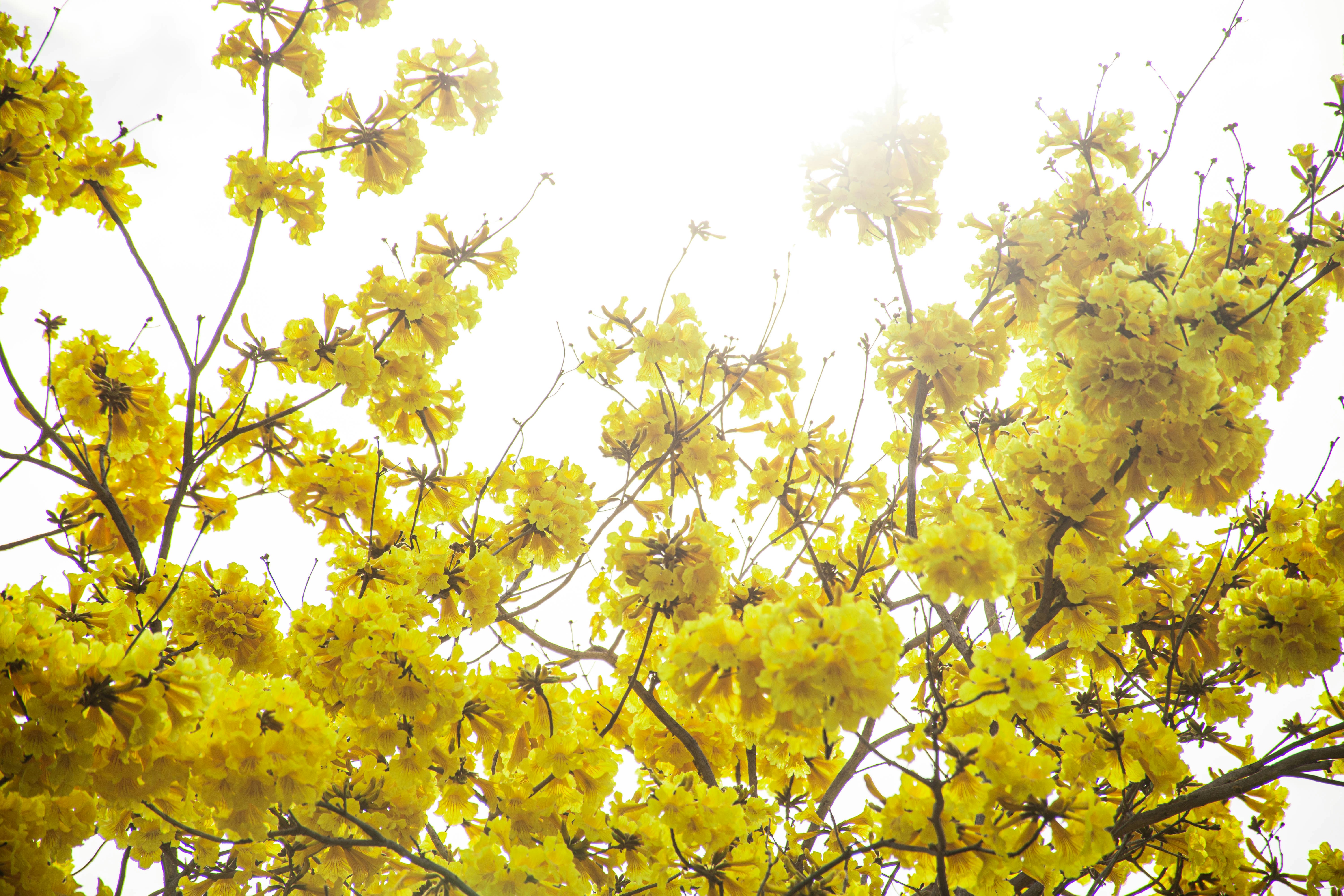 Photo by lucasgwendt