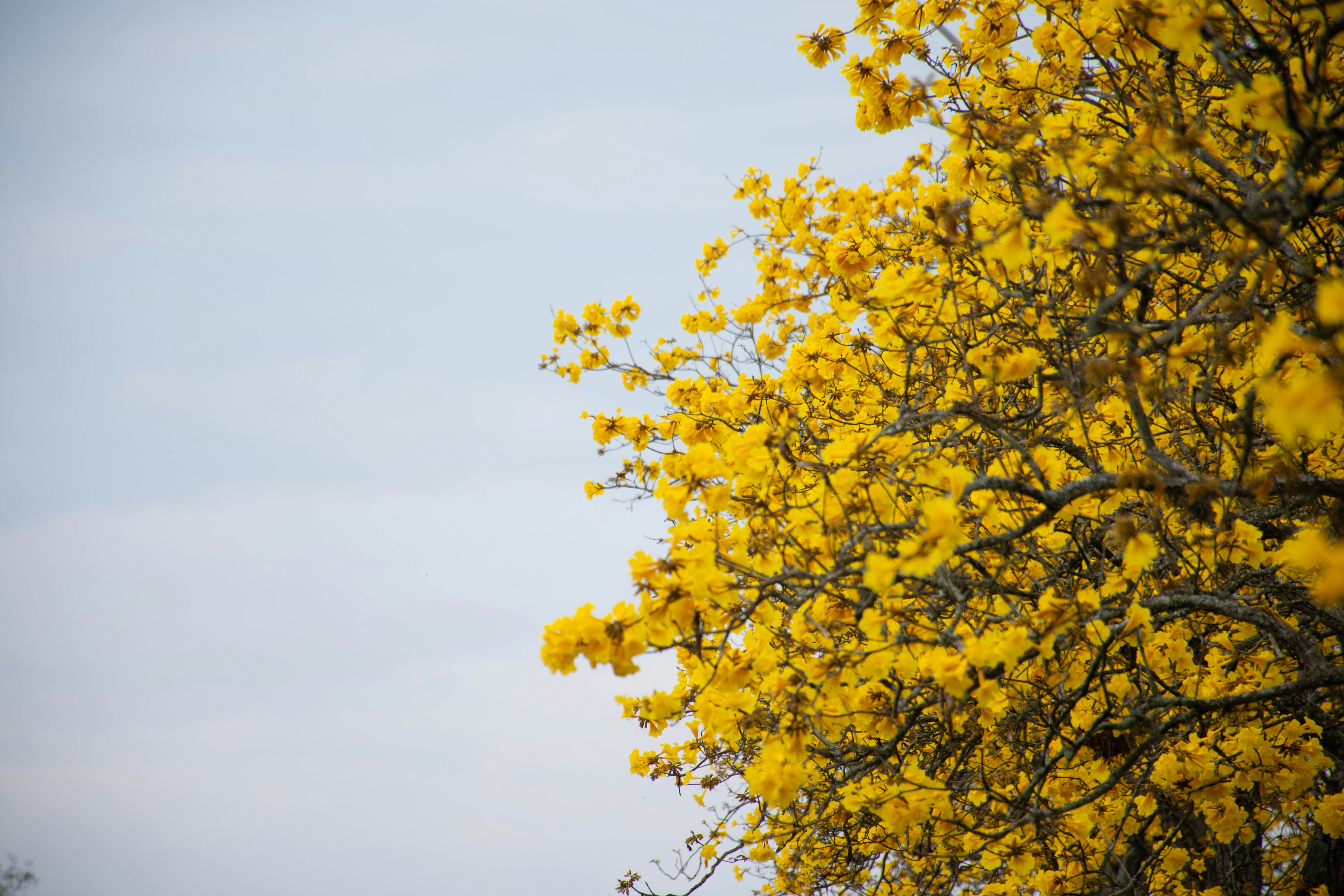 Photo by lucasgwendt