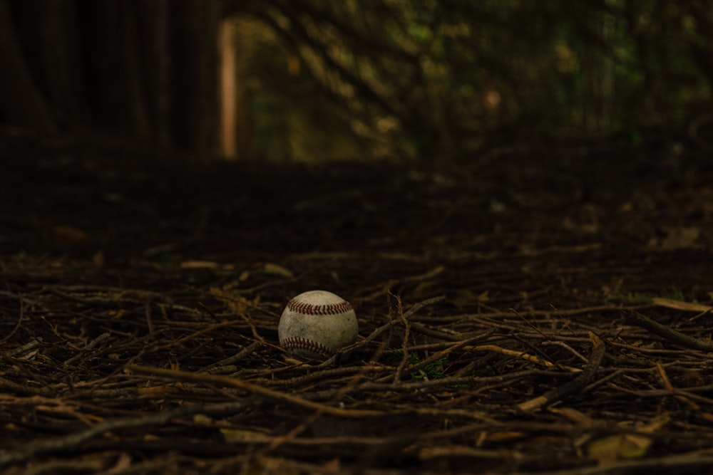 white baseball on brown dried grass