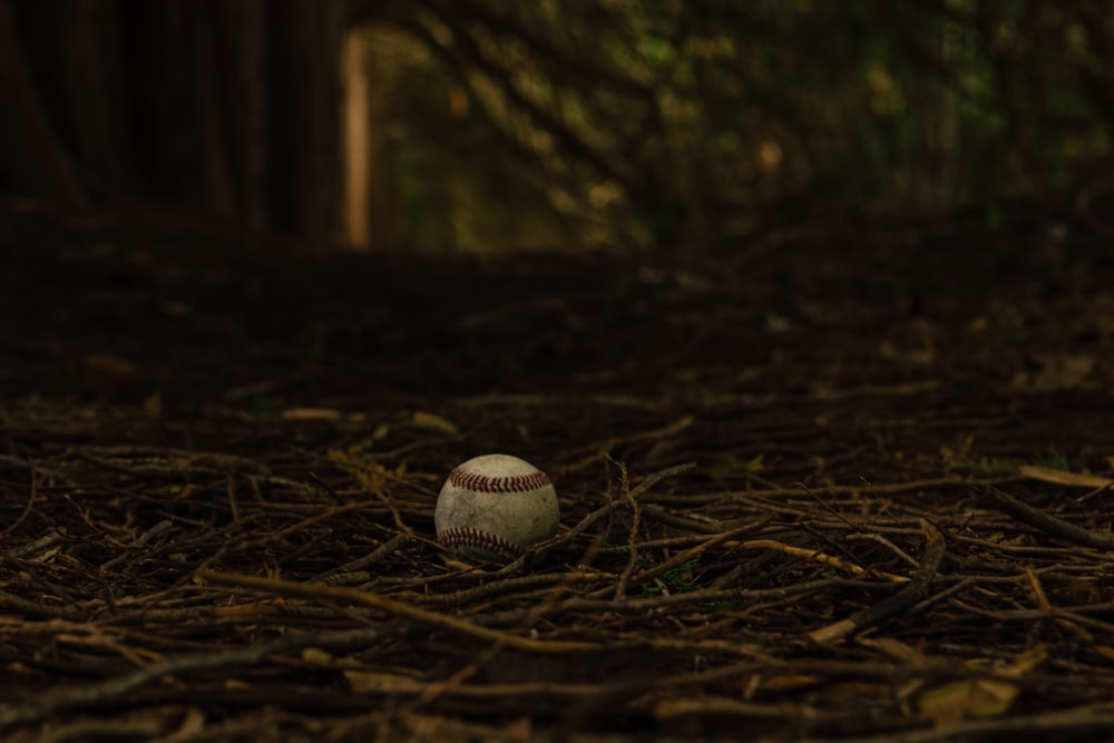 Baseball blanc sur de l’herbe séchée brune