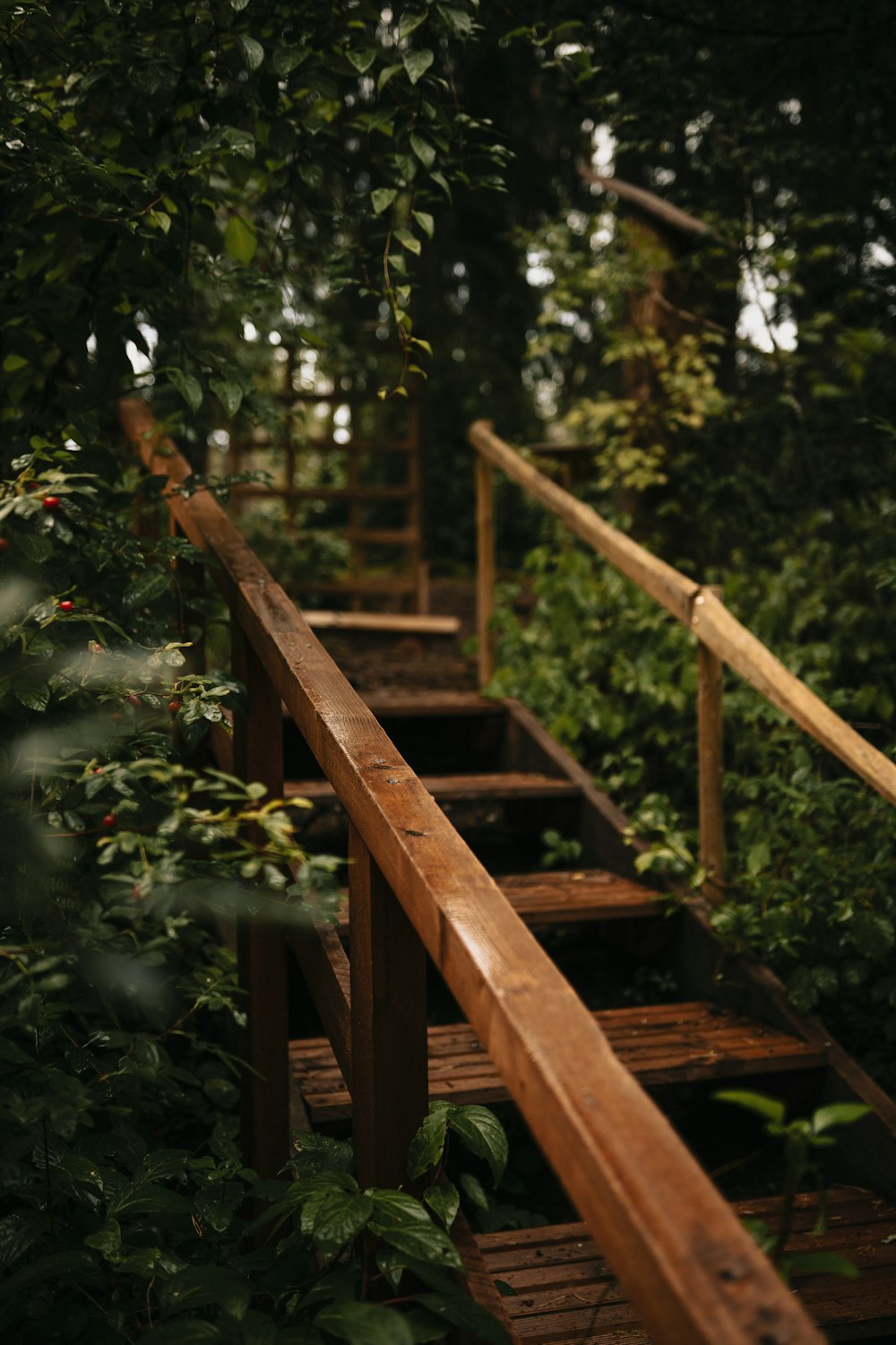 brown wooden staircase in forest during daytime