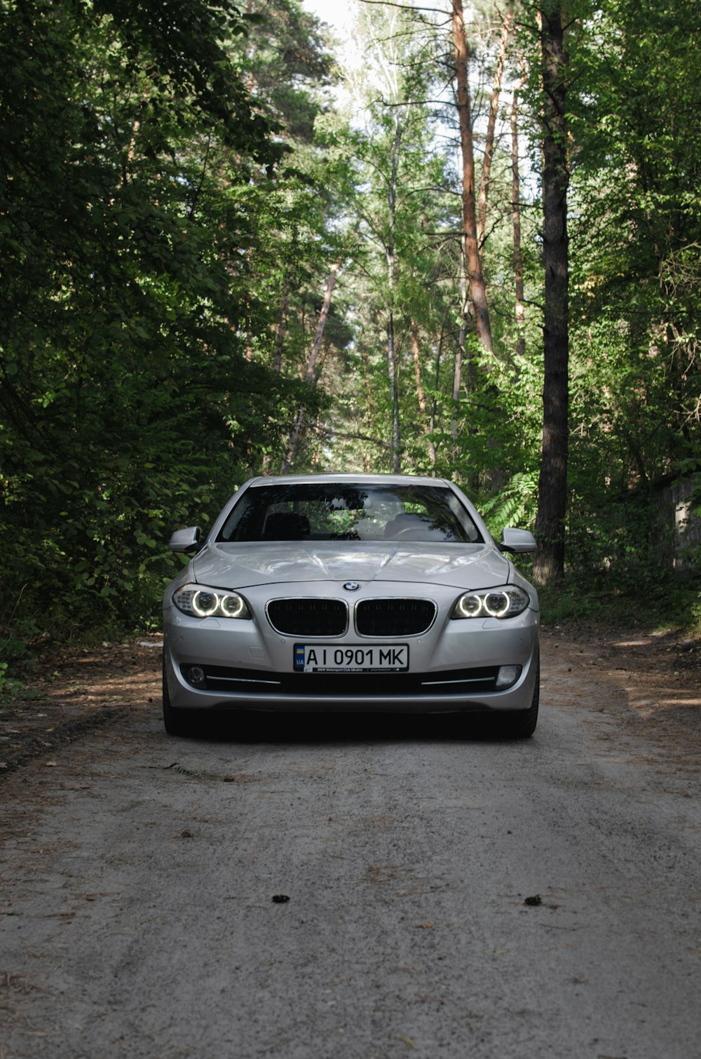 BMW M 3 coupé blanc garé dans la forêt pendant la journée