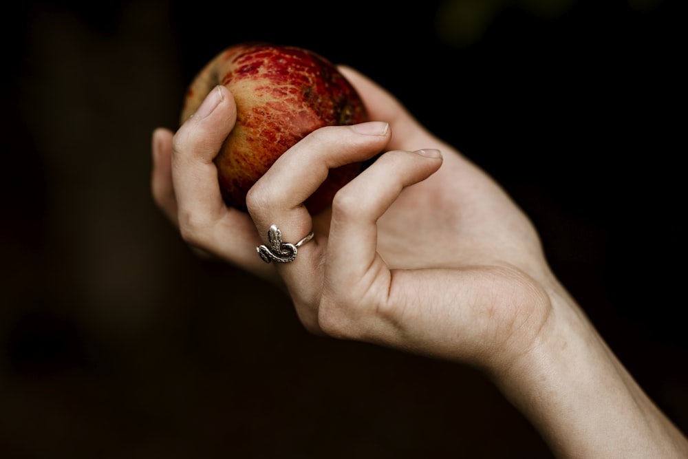 personne tenant un fruit de pomme rouge