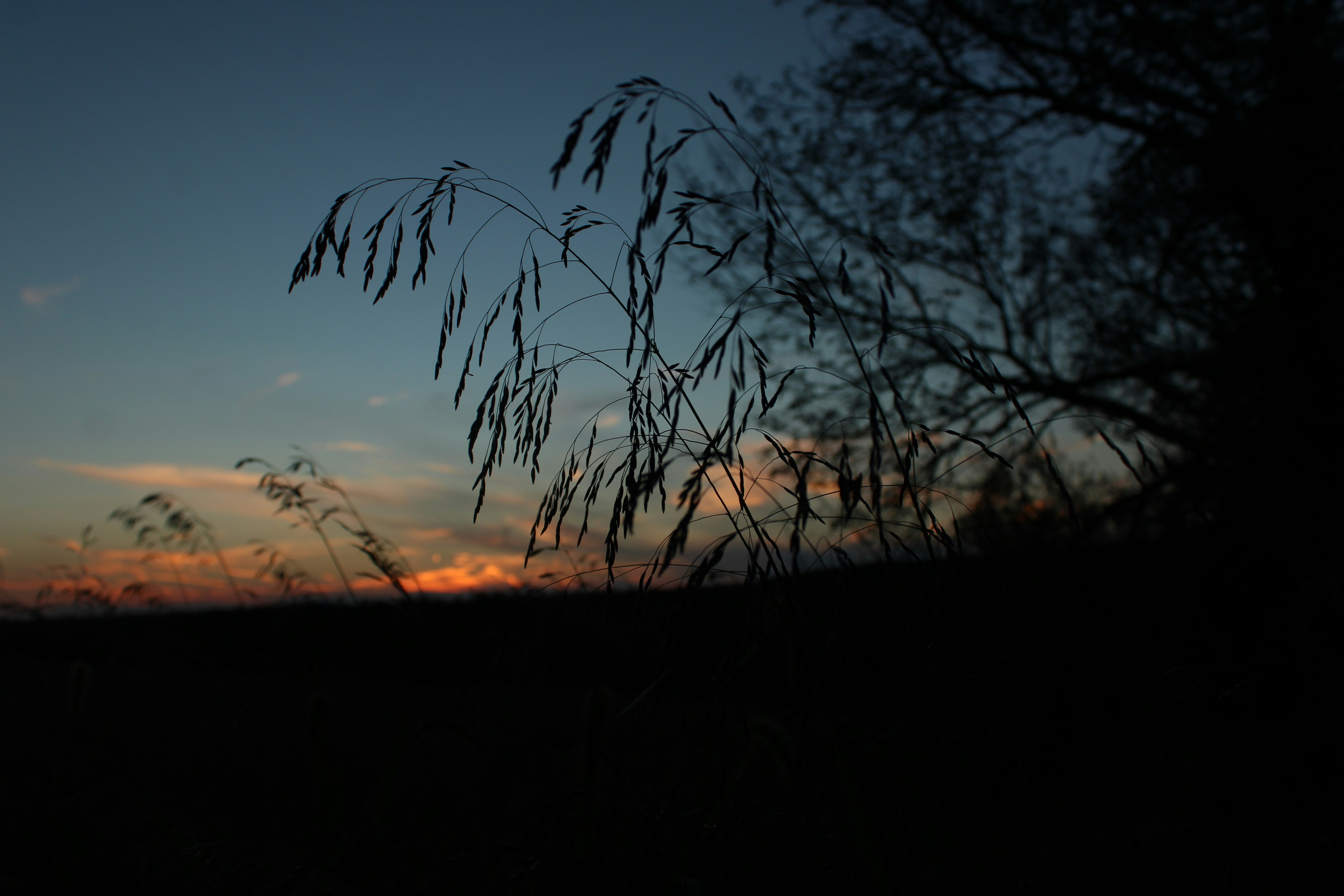 Photo by sadiecoulter