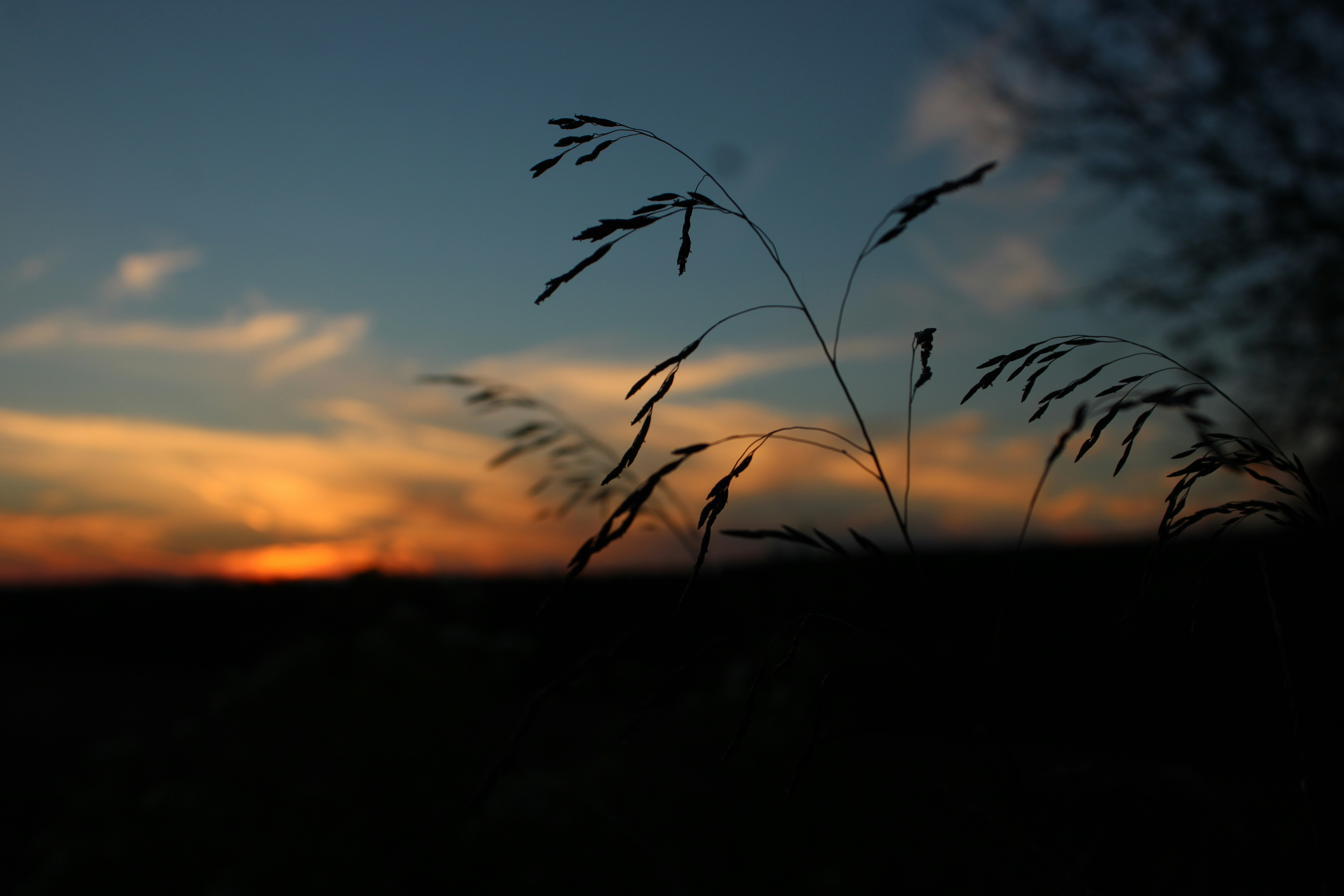 Photo by sadiecoulter