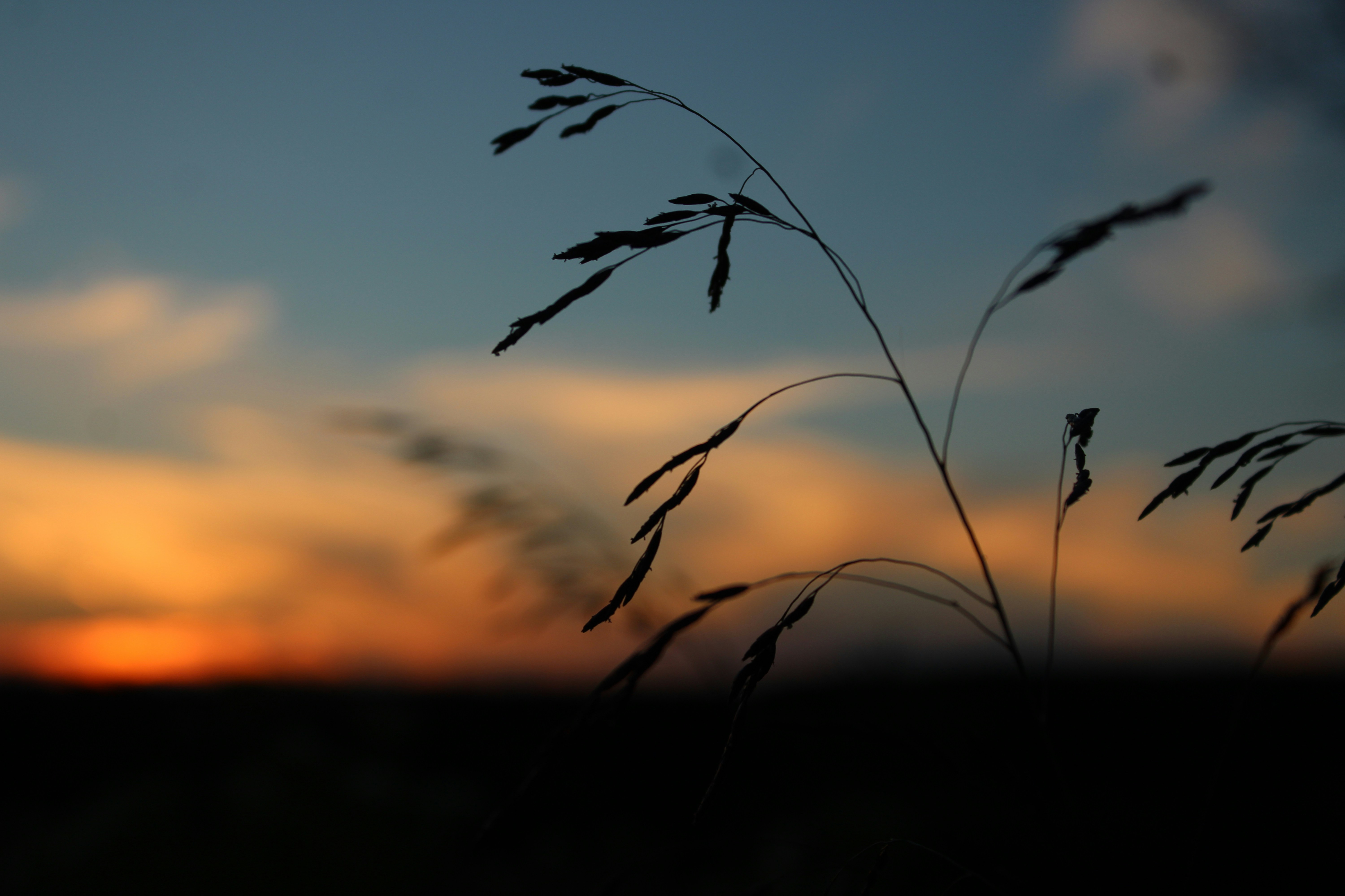 Photo by sadiecoulter