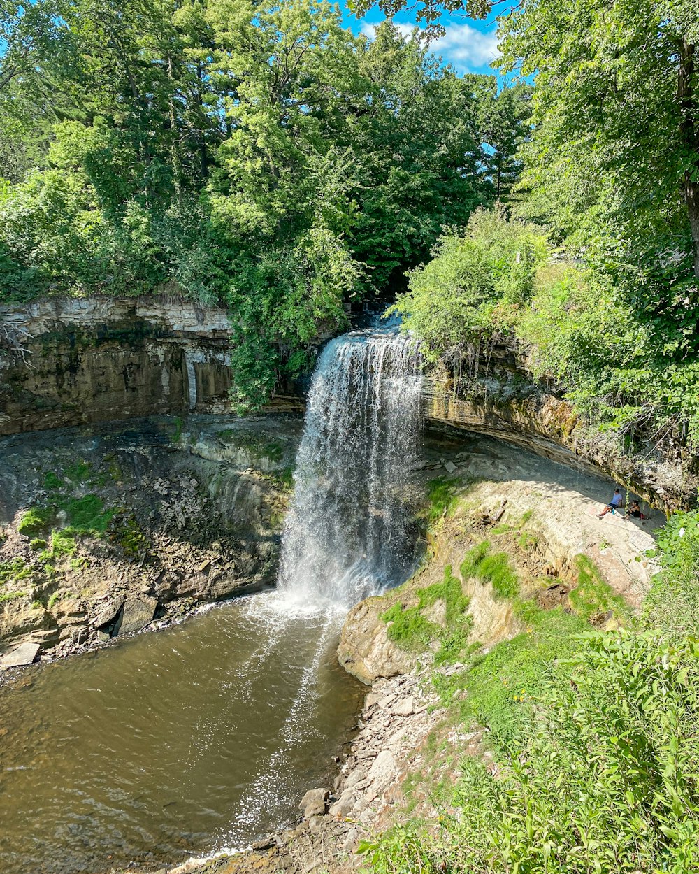 waterfalls in the middle of green trees