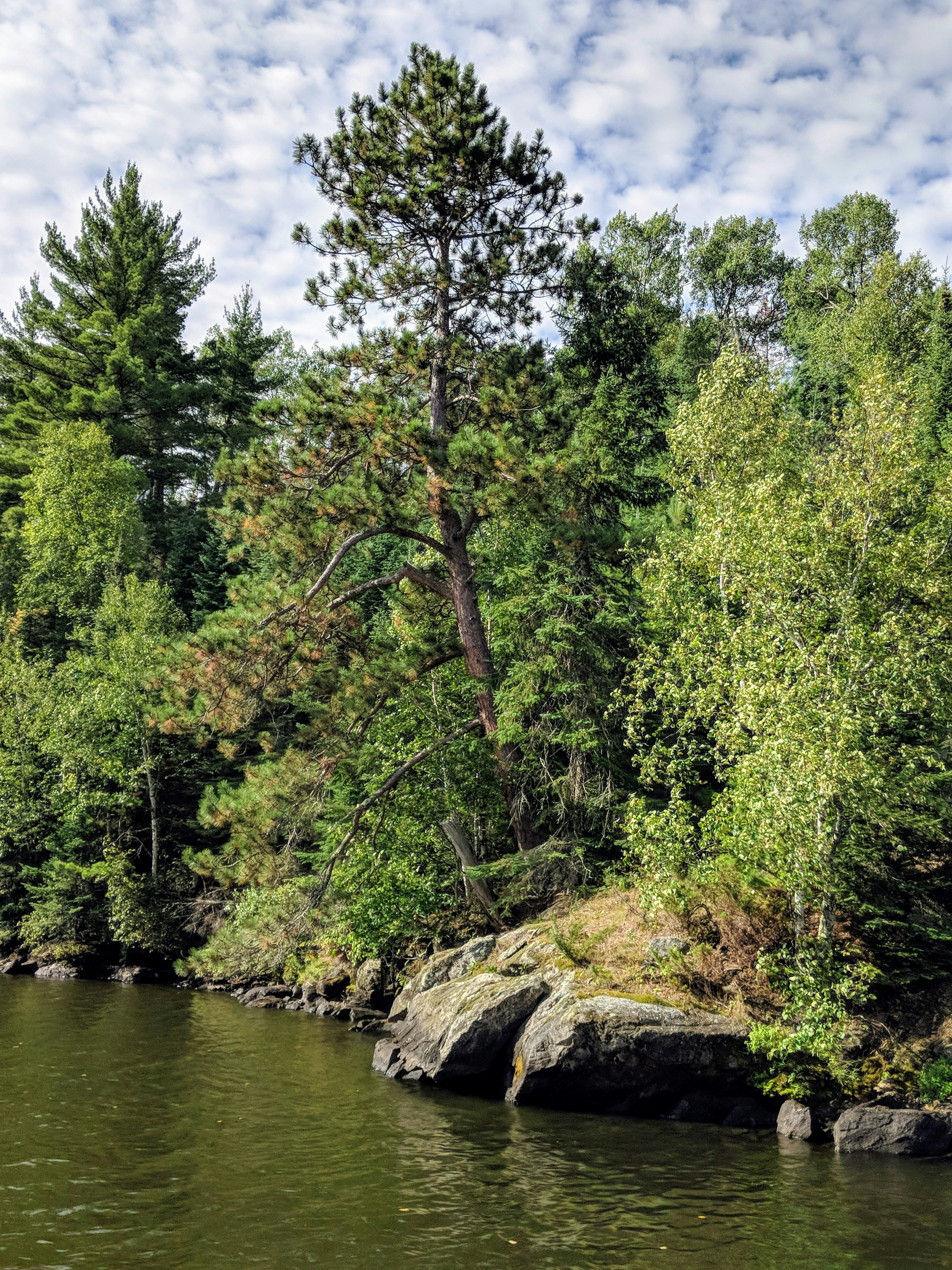 Voyageurs National Park