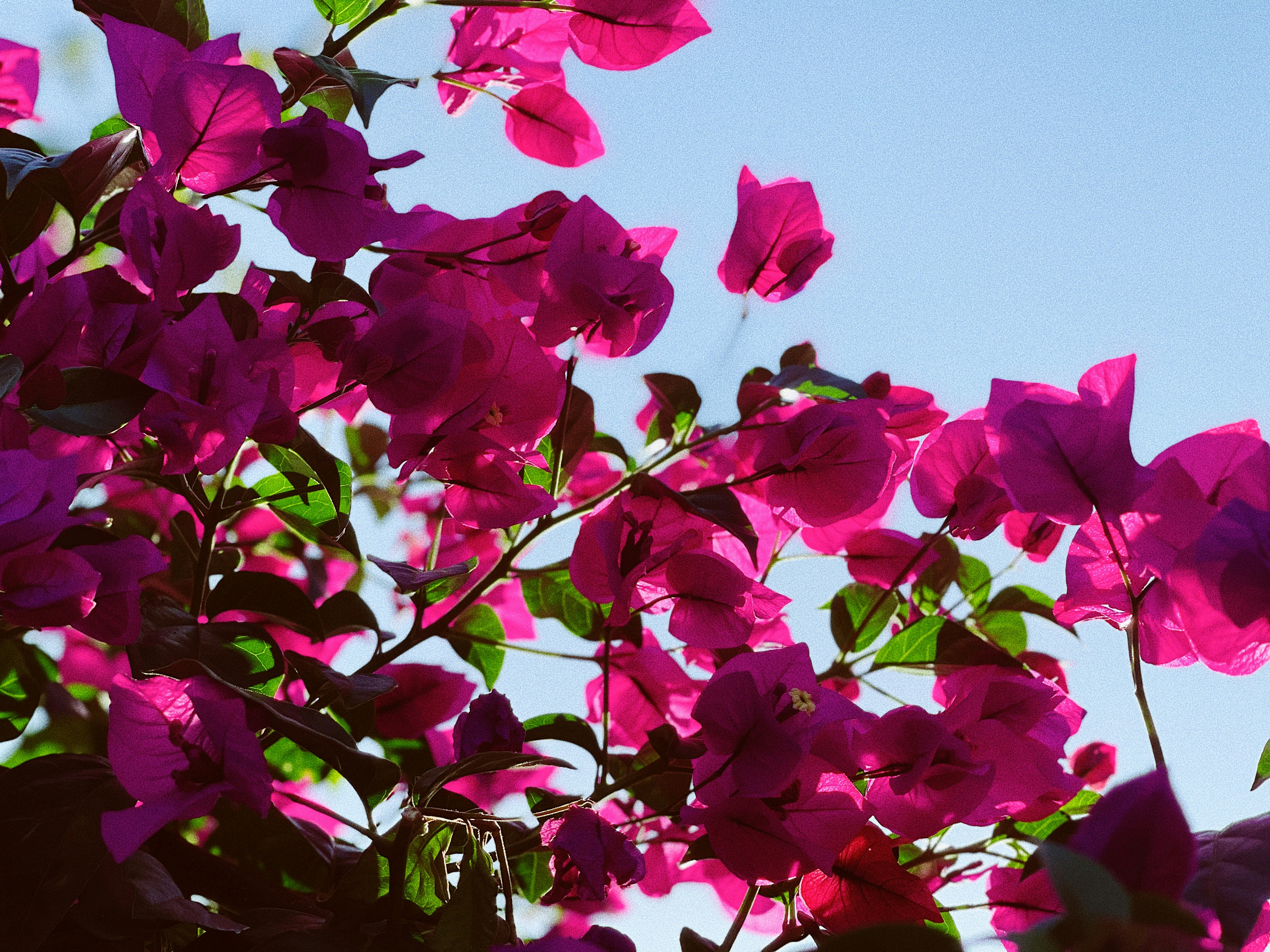 Photo by naomi_august