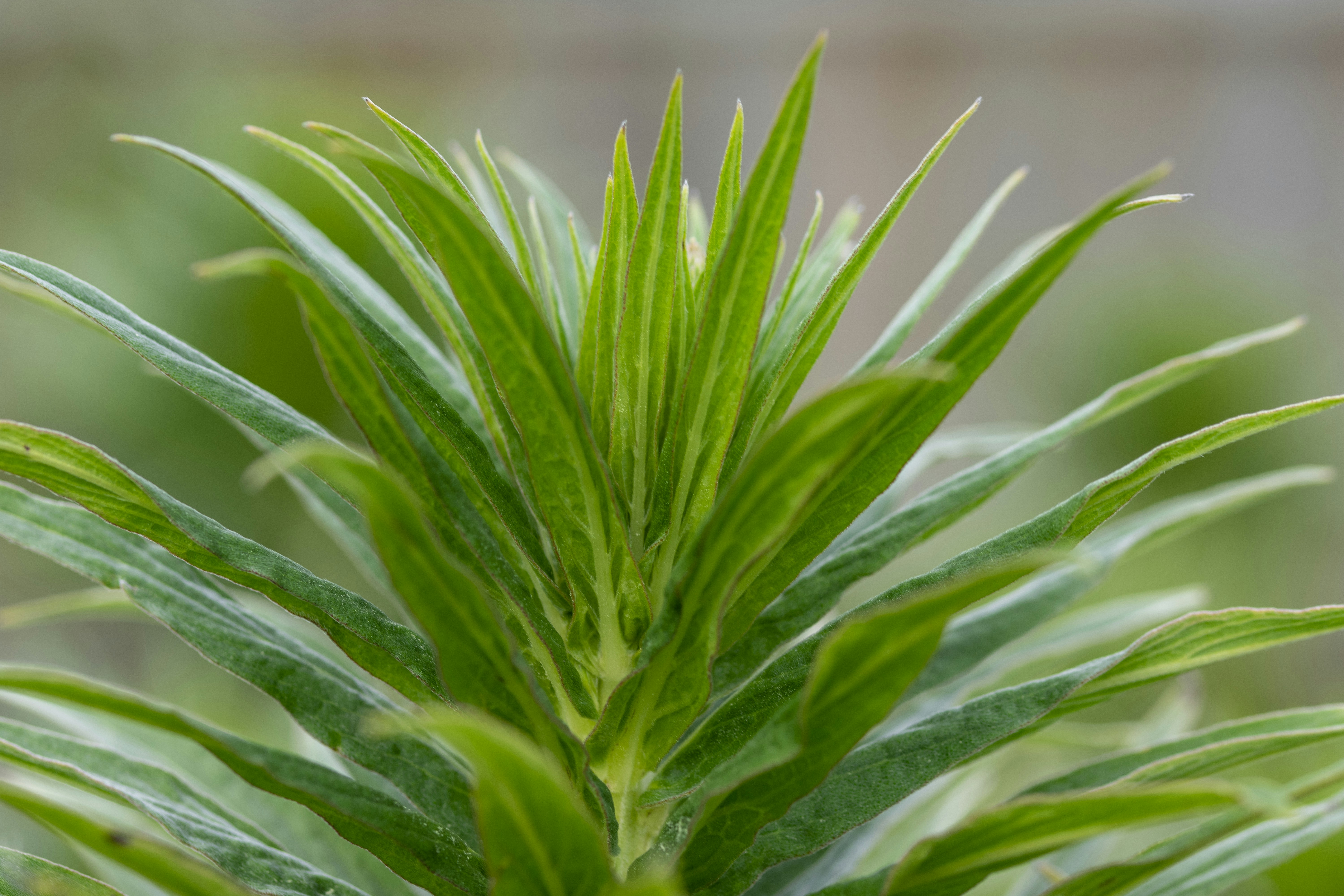 Photo by ellephant_photography