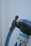 A close-up view of a garden hose attached to a faucet with a brass valve. The hose is blue with a mesh-like texture and connects to a nozzle labeled with text partially visible at the bottom. The background is a plain white surface.