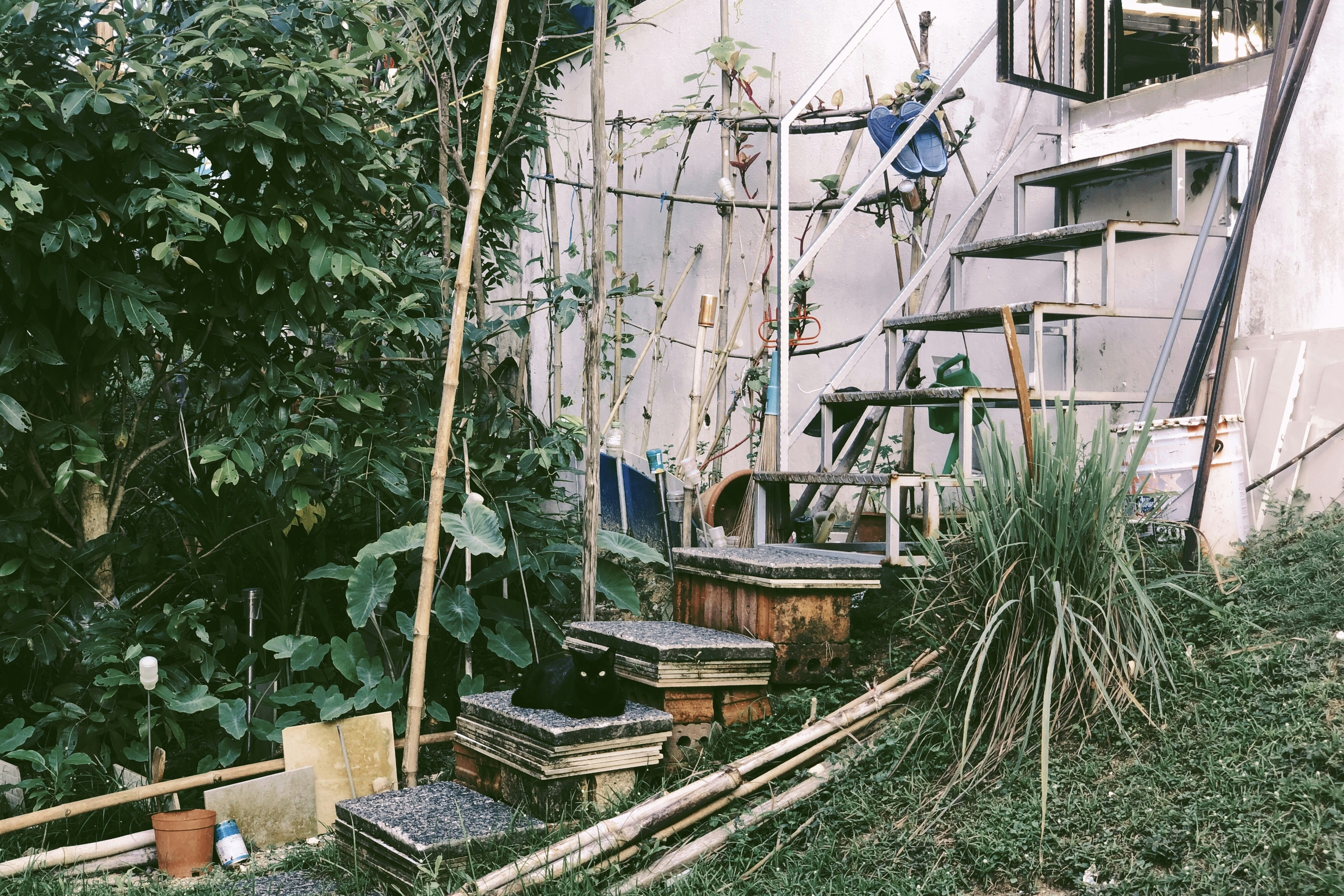 Wooden deck construction backyard