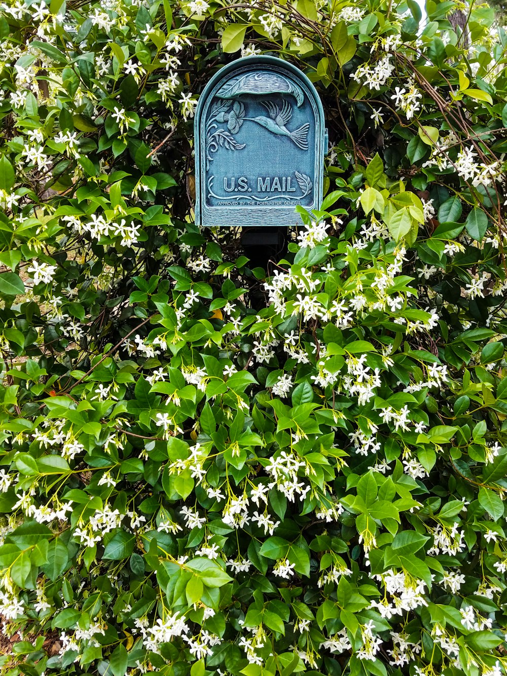 blue and white signage on green plant