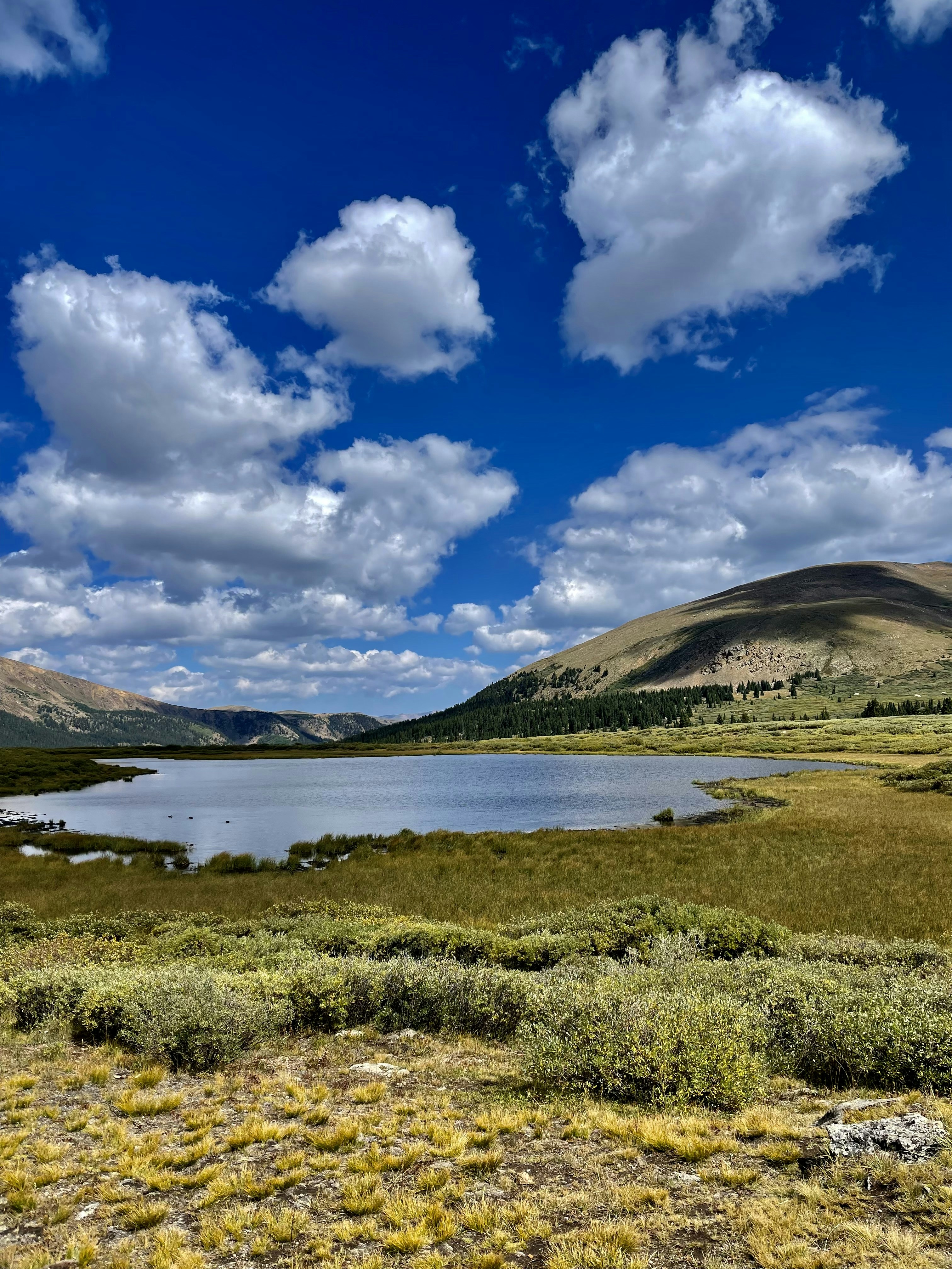 Photo by laitonbarbo