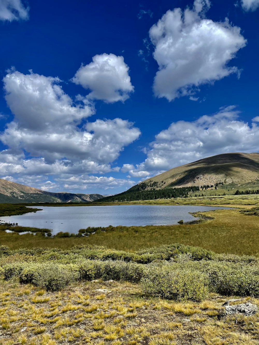 green grass field near lake under blue sky and white clouds during daytime