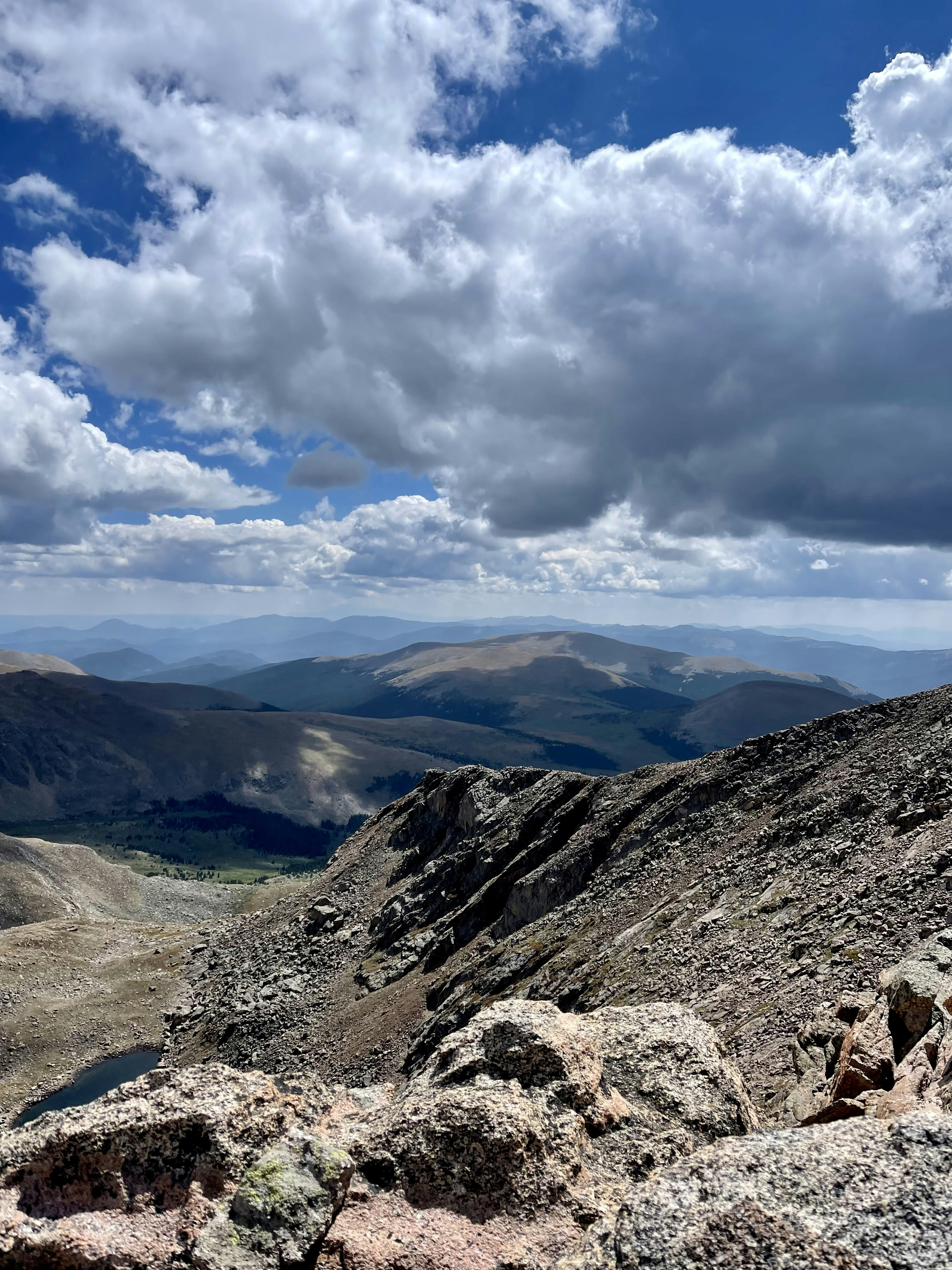 Photo by laitonbarbo