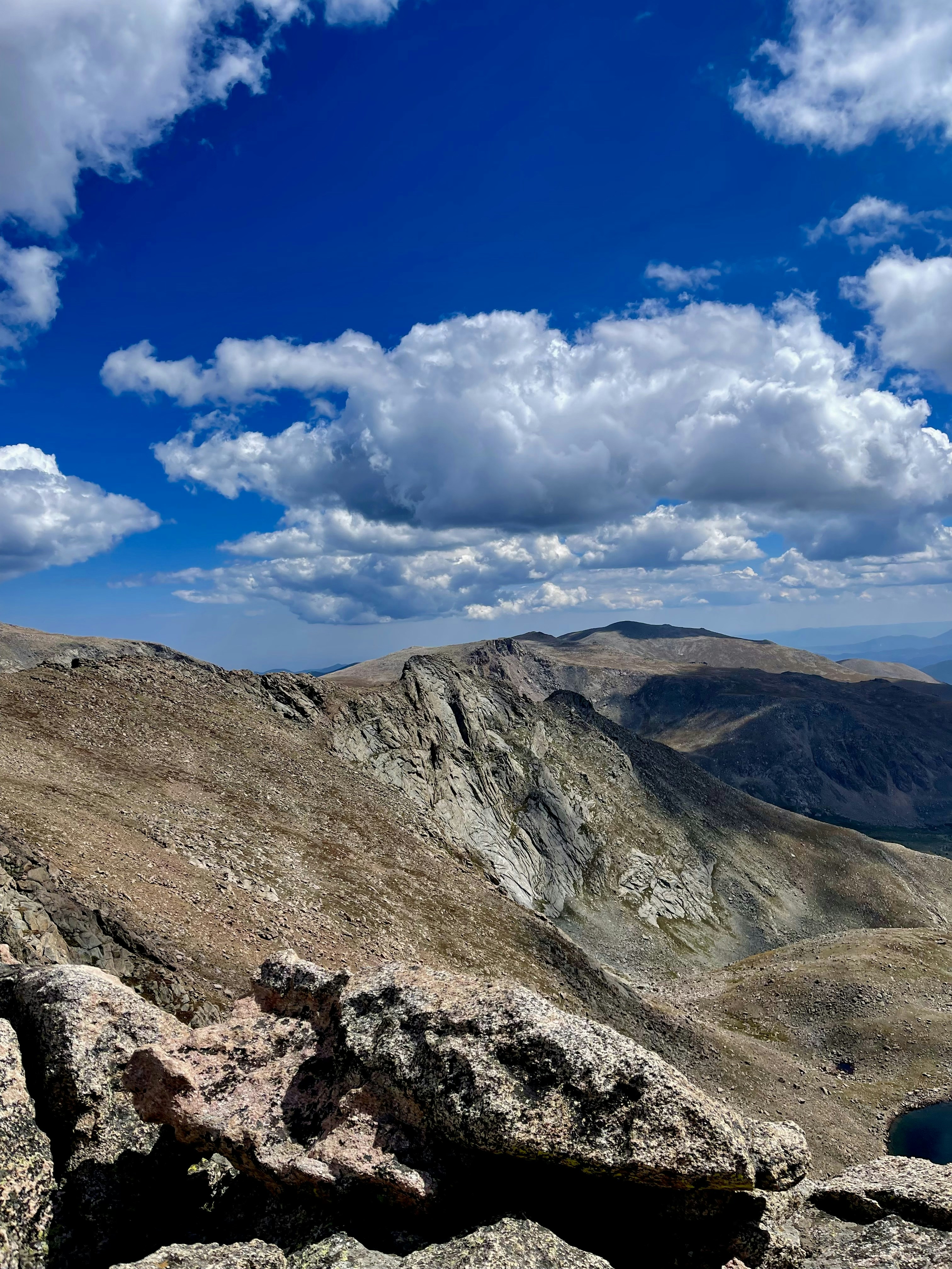 Photo by laitonbarbo