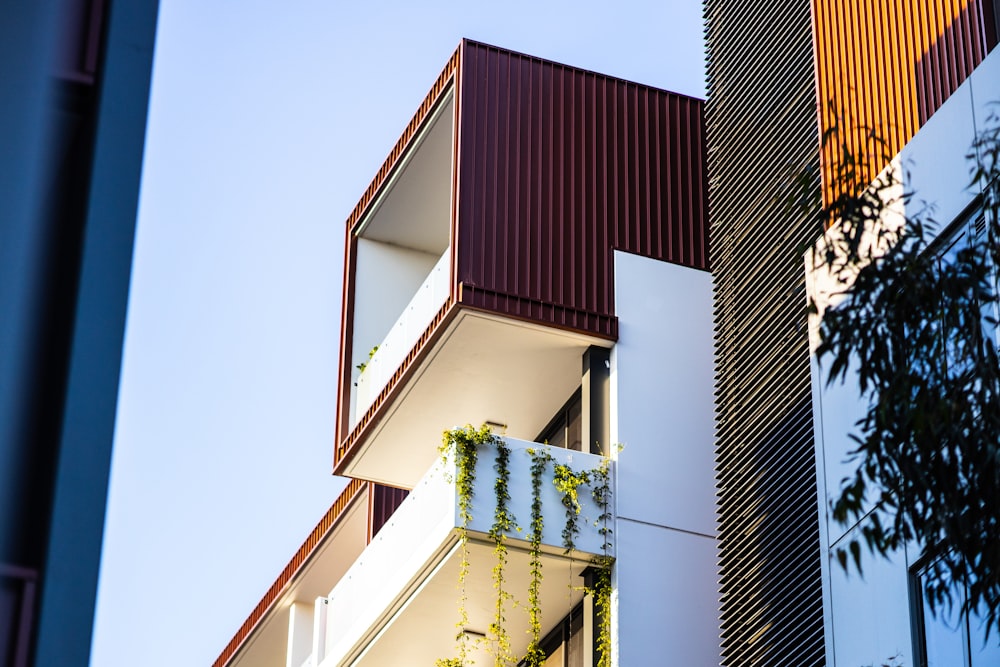 brown and white concrete building