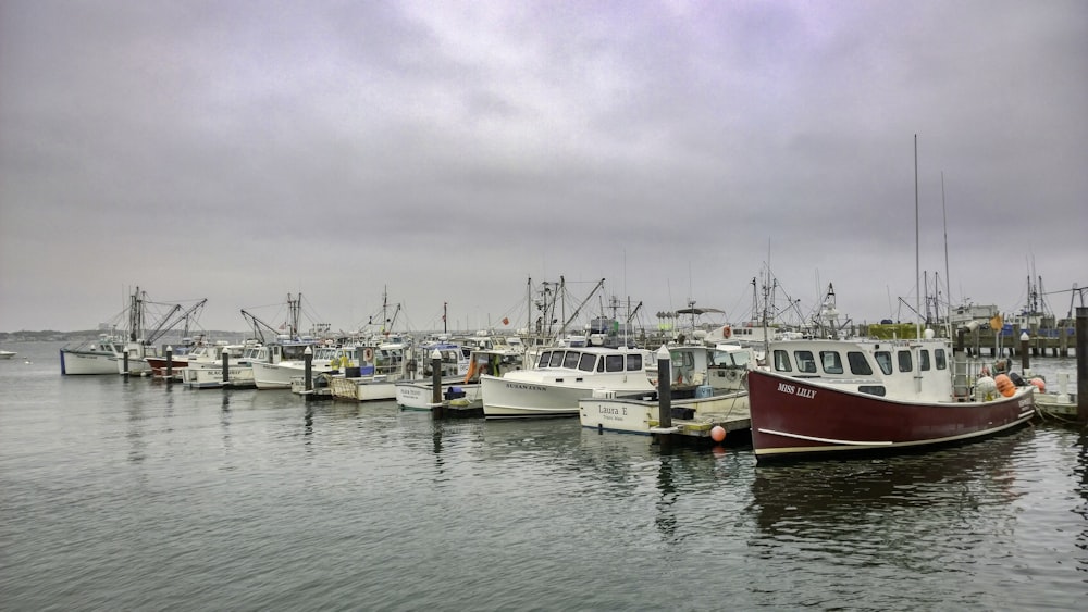 red and white boat on water during daytime