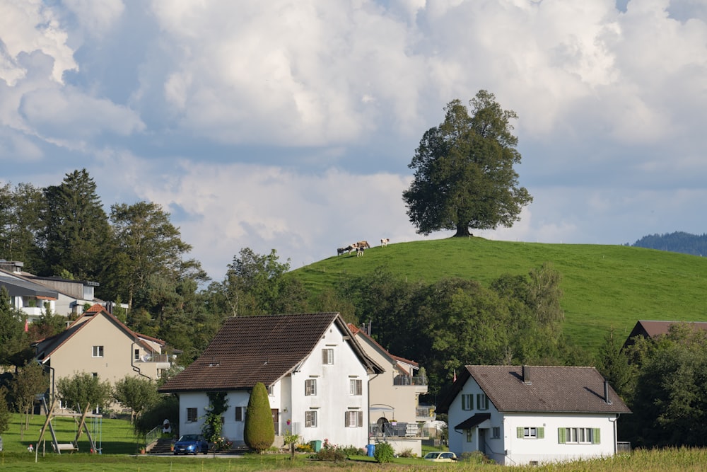 white and brown houses near green trees under white clouds during daytime